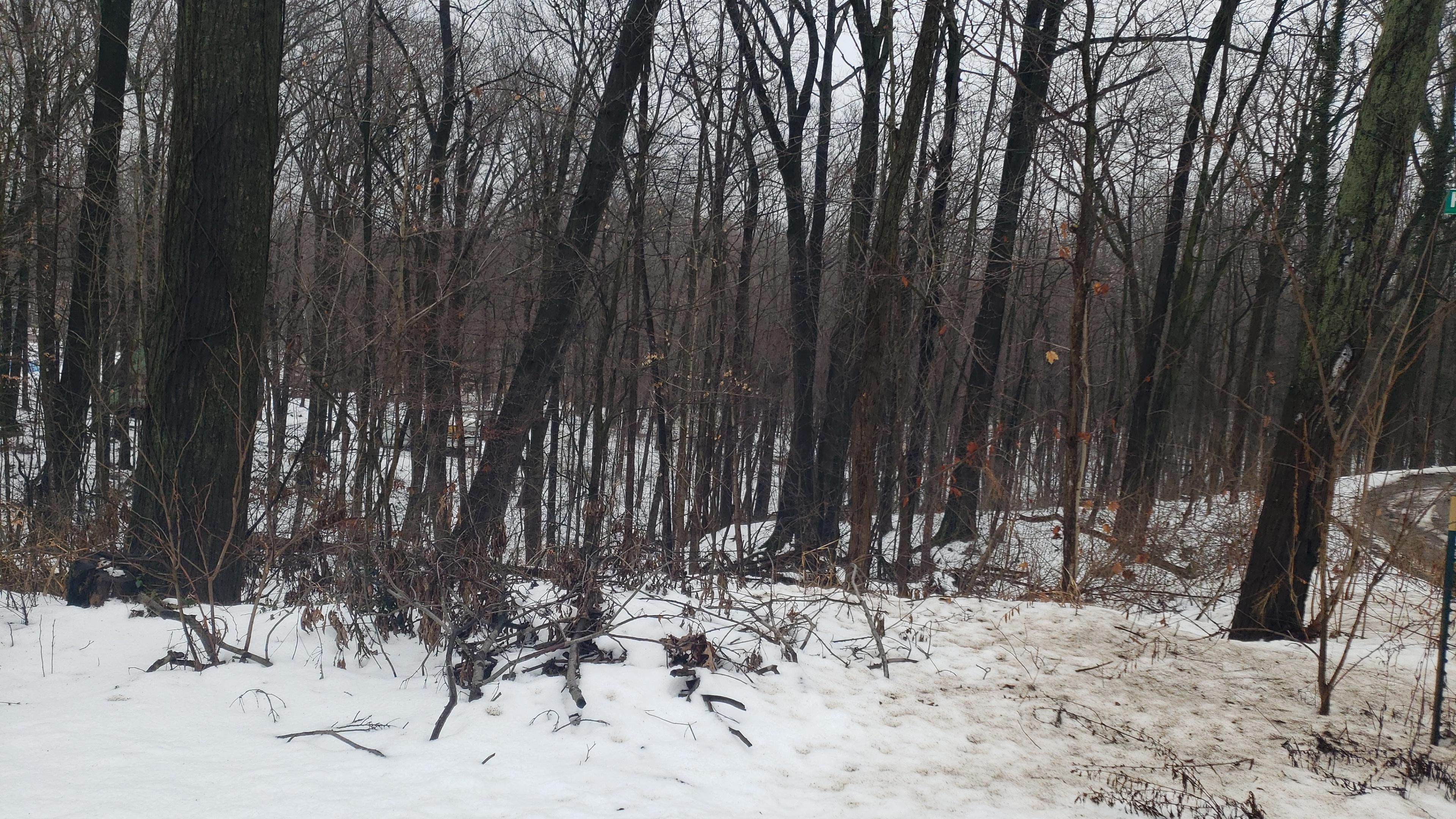 Hagar, Lake Michigan Beach, MI 49038 LandWatch
