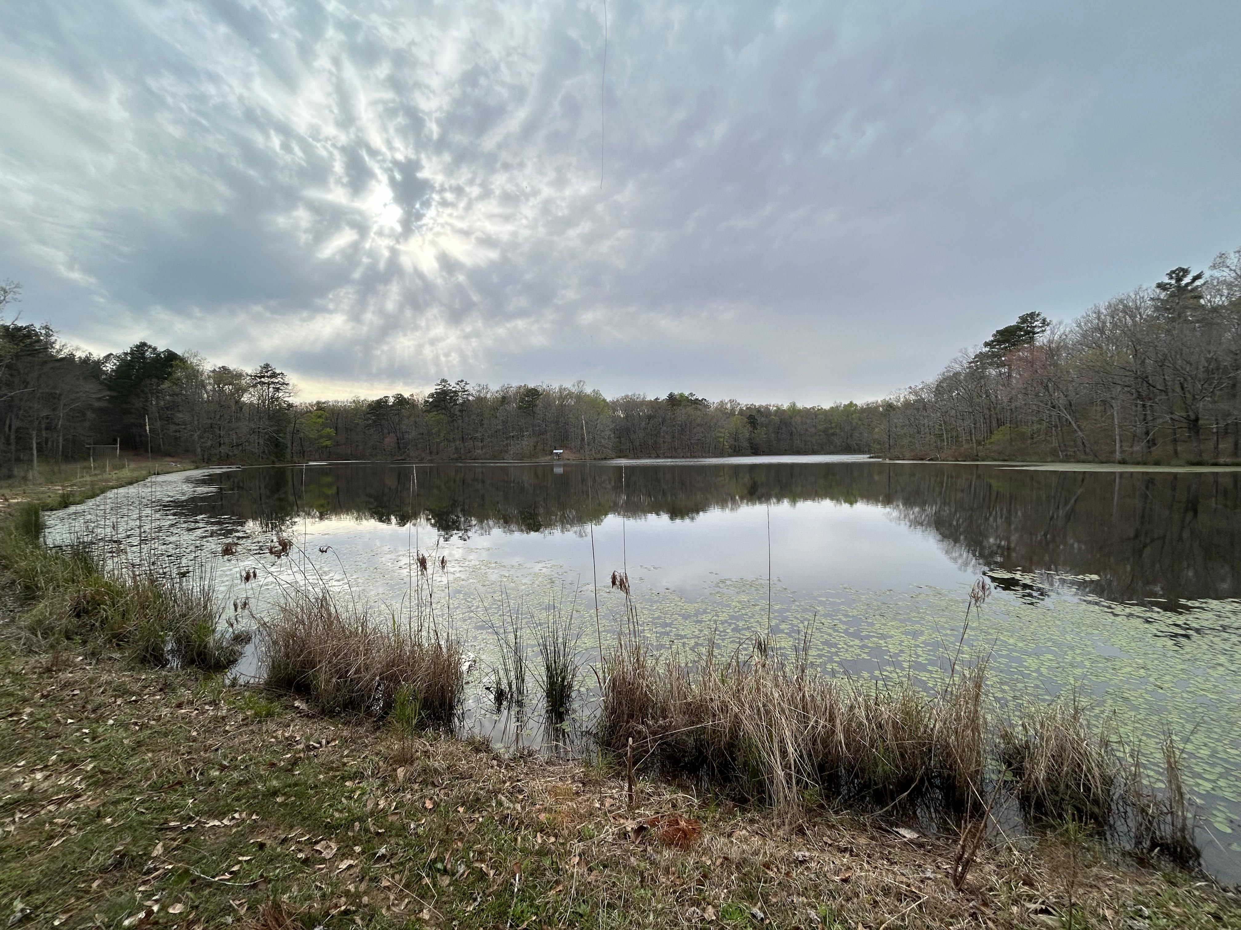 6786 Castalian Springs Road, Durant, MS 39063 MLS 4075413 LandWatch