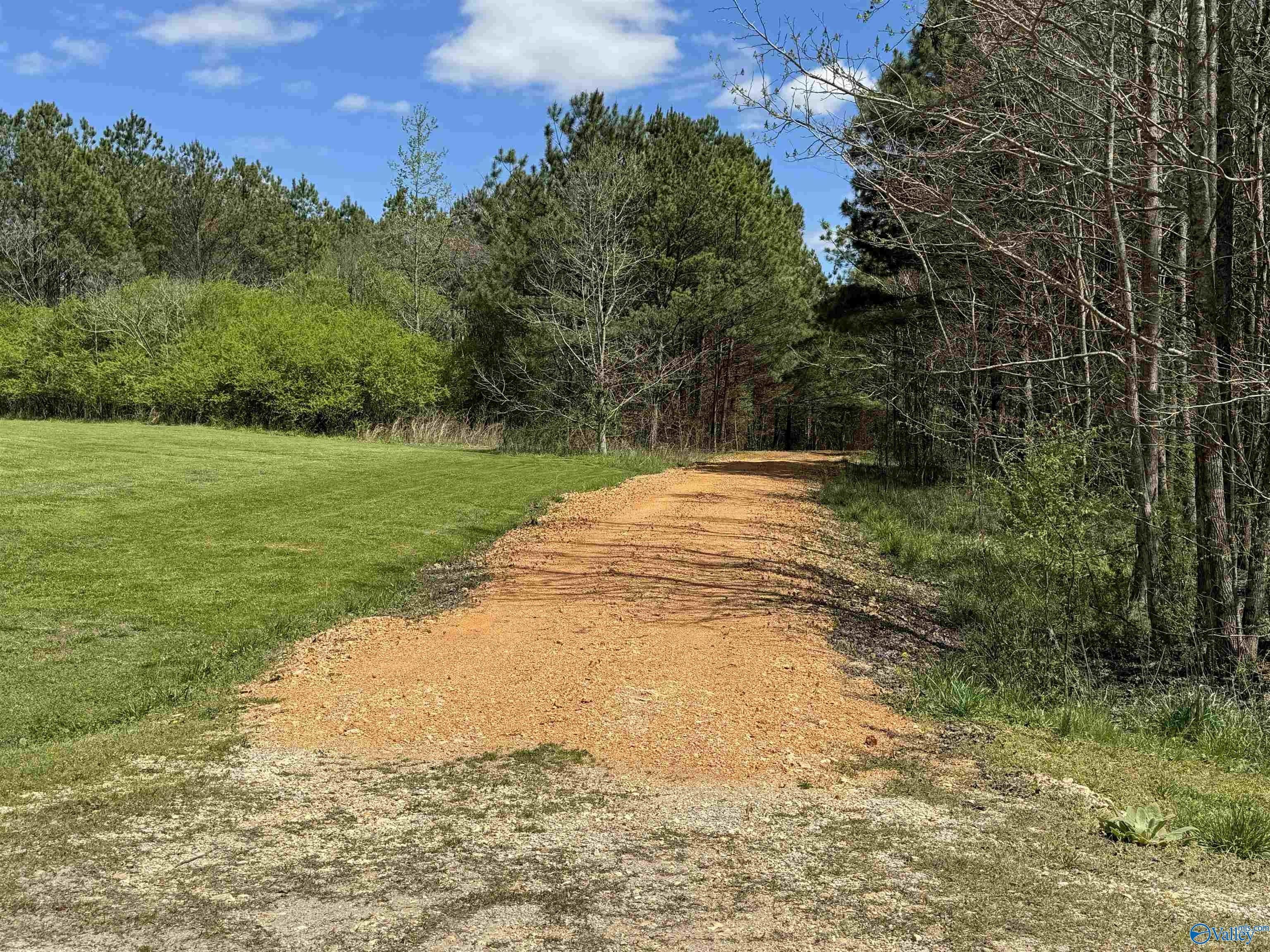 16.6 Mclaughlin Lane, Florence, AL 35634 MLS 1833116 LandWatch