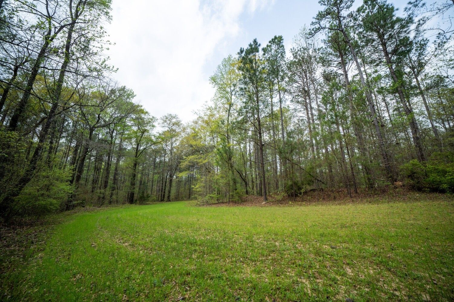 Wetumpka, Elmore County, AL Undeveloped Land for sale Property ID 419369091 LandWatch