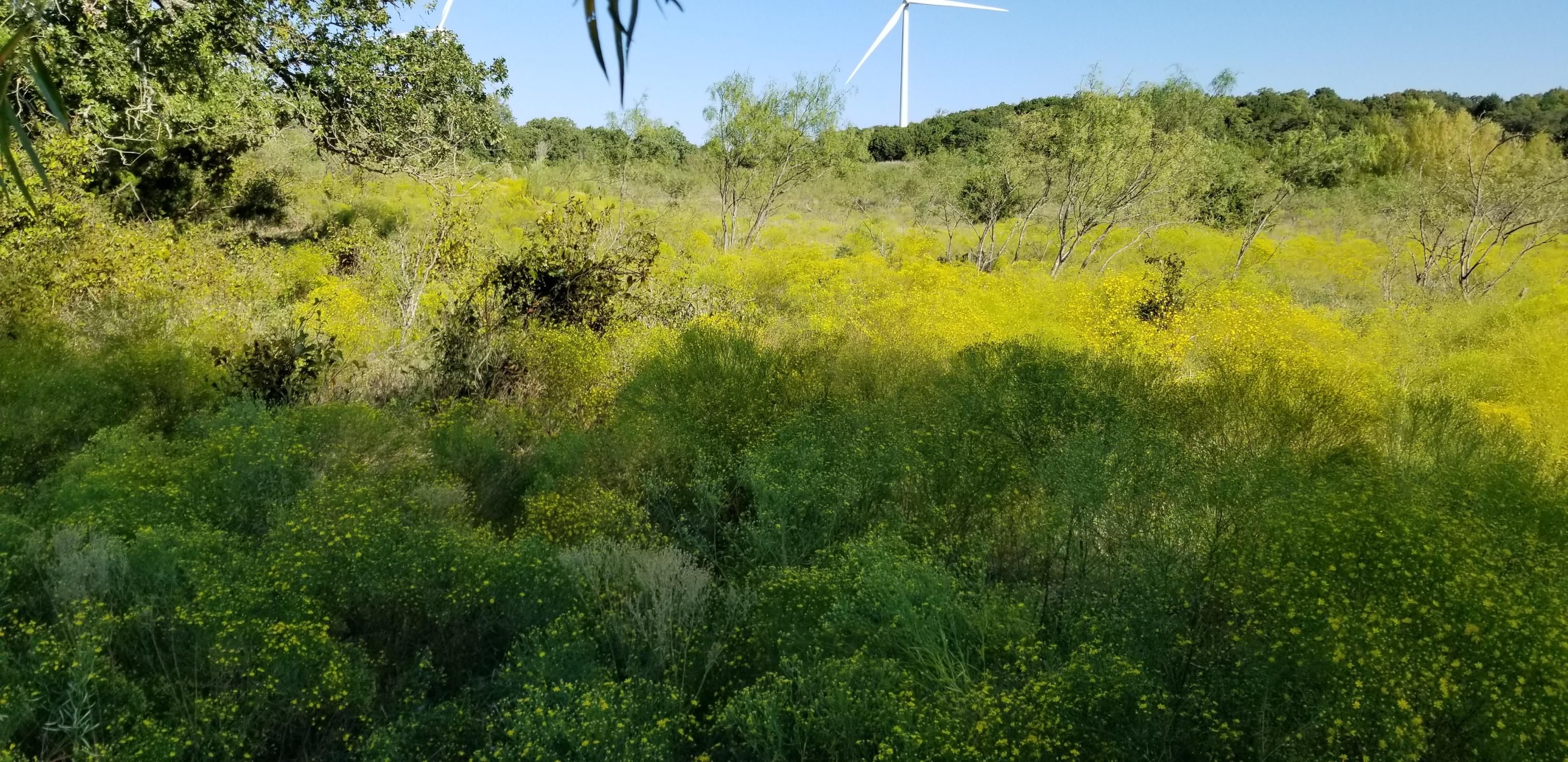 51.26 acres in Desdemona, TX, 76445 LandWatch