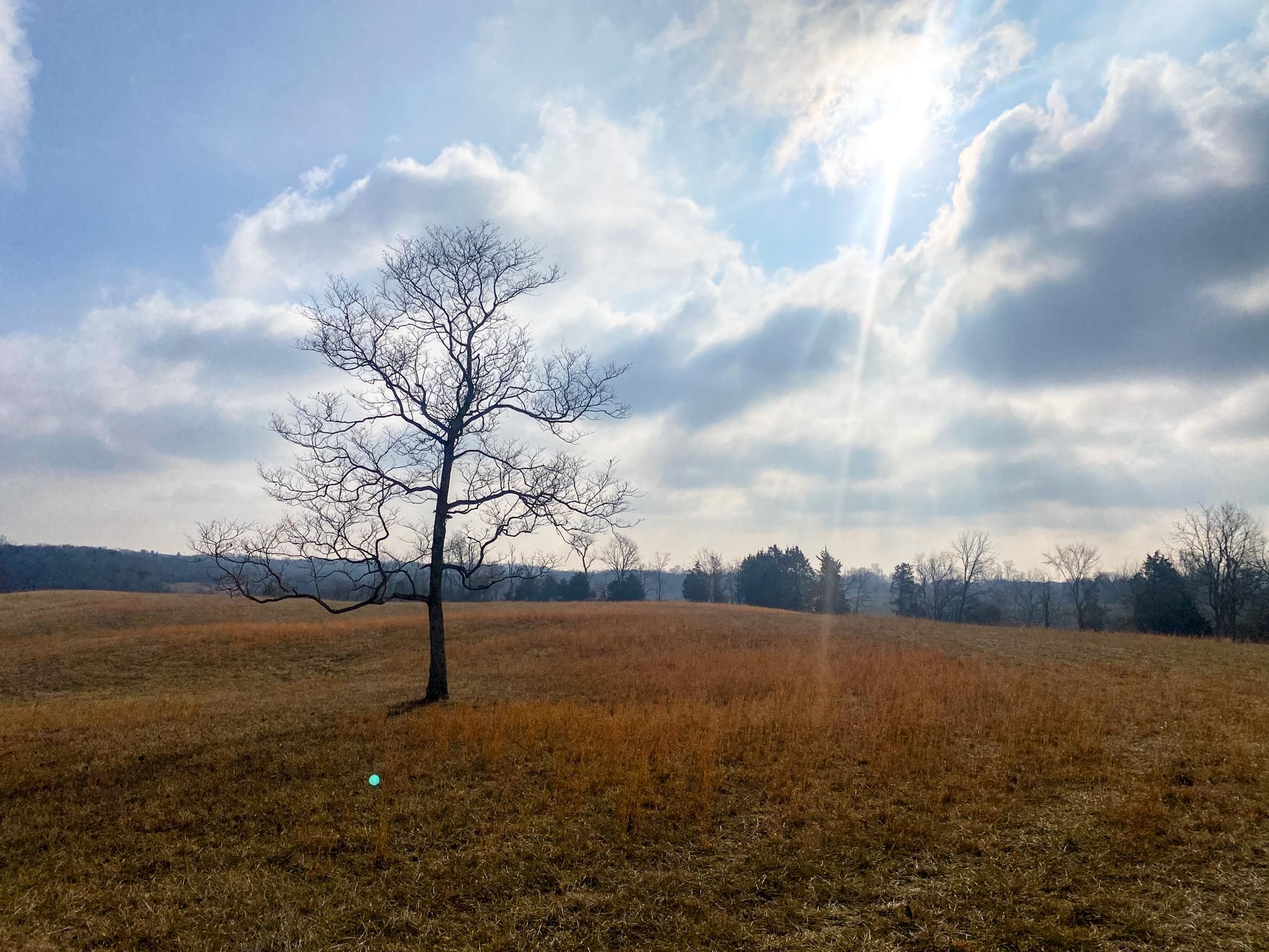 13727 Grace Lane, Moores Hill, IN 47032 MLS 11266922 LandWatch
