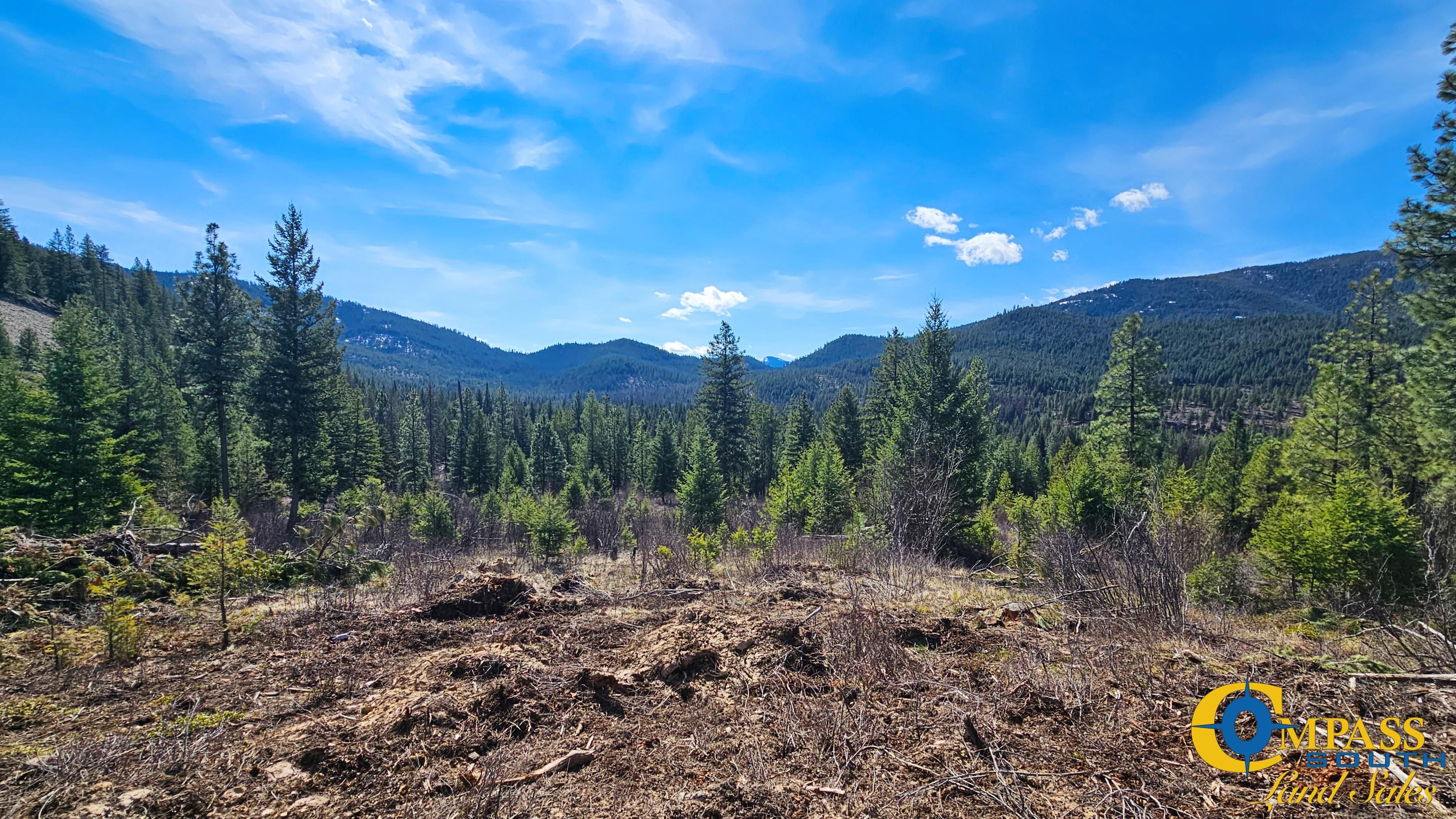 Libby, Lincoln County, MT Recreational Property for sale Property ID