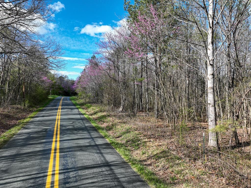 Appomattox, Appomattox County, VA Undeveloped Land for sale Property ID