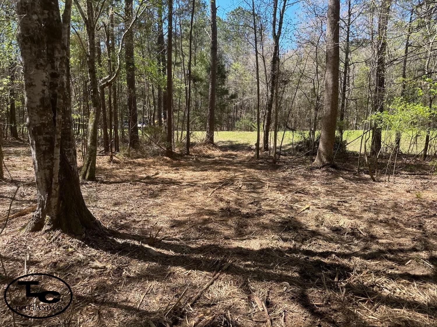 Sulligent, Lamar County, AL Recreational Property, Timberland Property