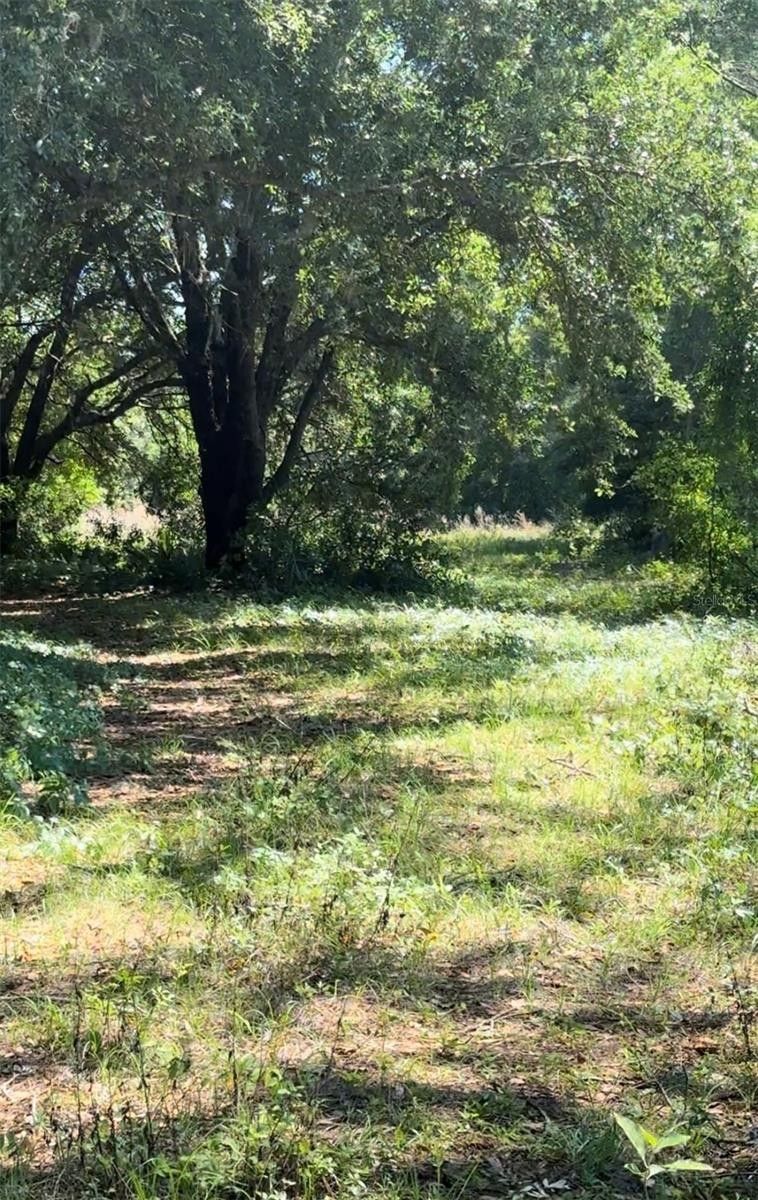 Ocklawaha, Marion County, FL Undeveloped Land for sale Property ID