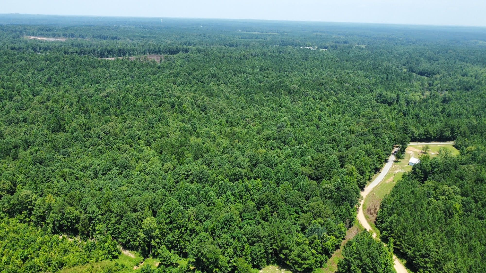 65 Acres, Neshoba County, MS, Herbert Springs, MS 39325 LandWatch