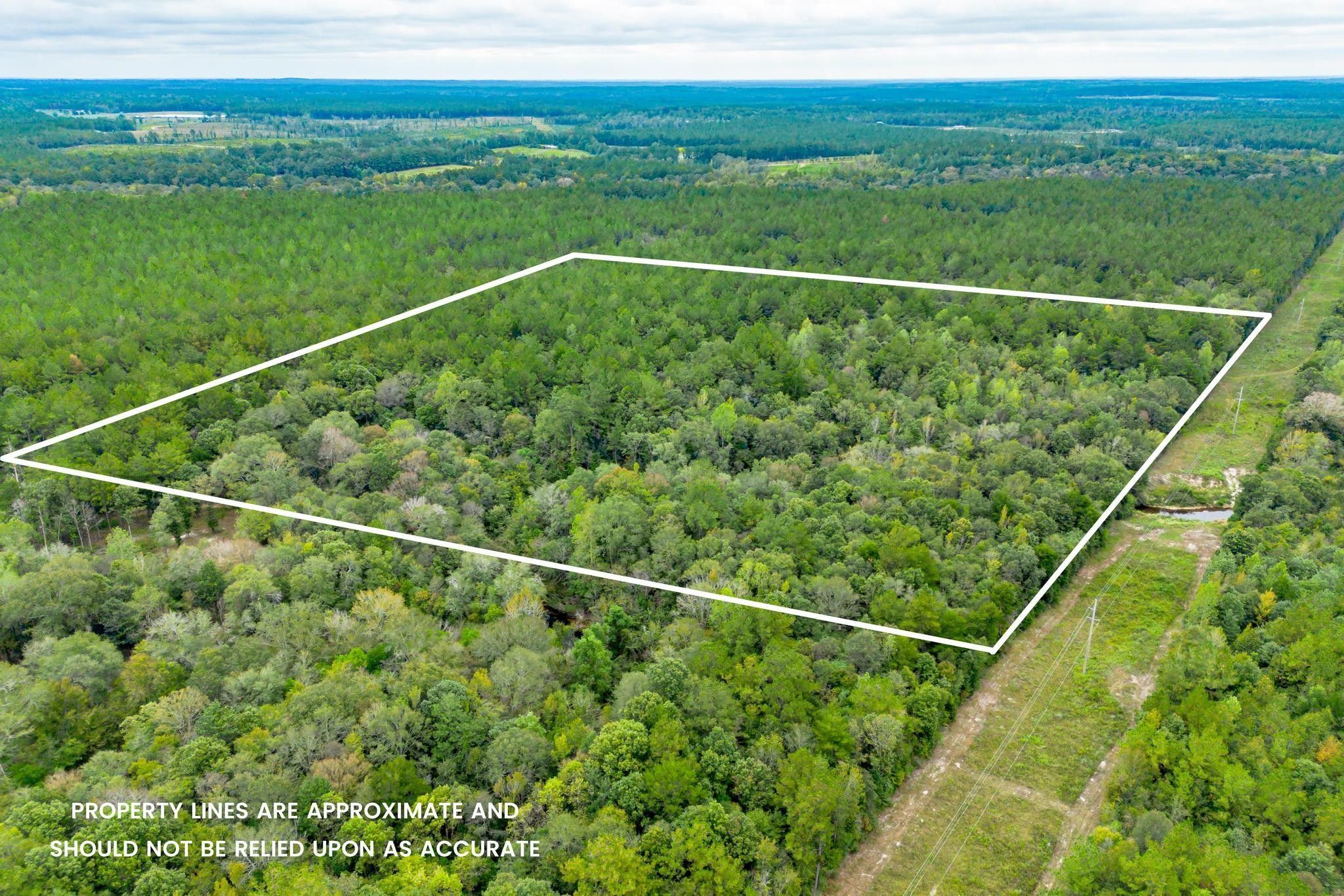 40 Acres MOL, Richton, MS 39476 MLS 137423 LandWatch
