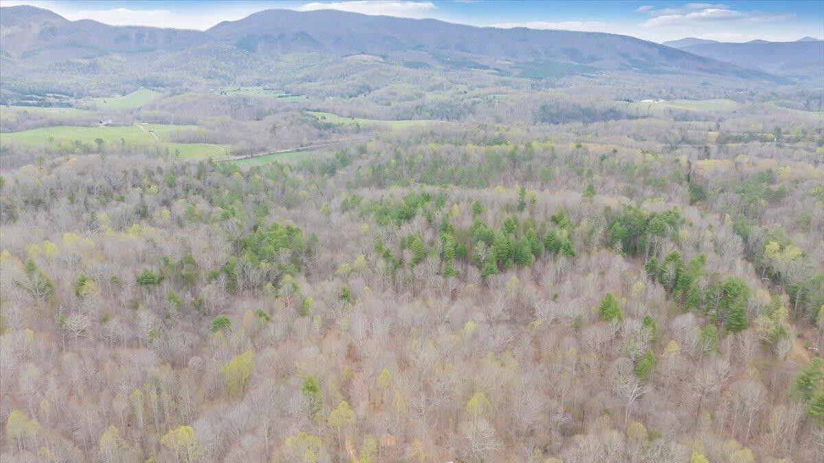 Buchanan, Botetourt County, VA Undeveloped Land for sale Property ID