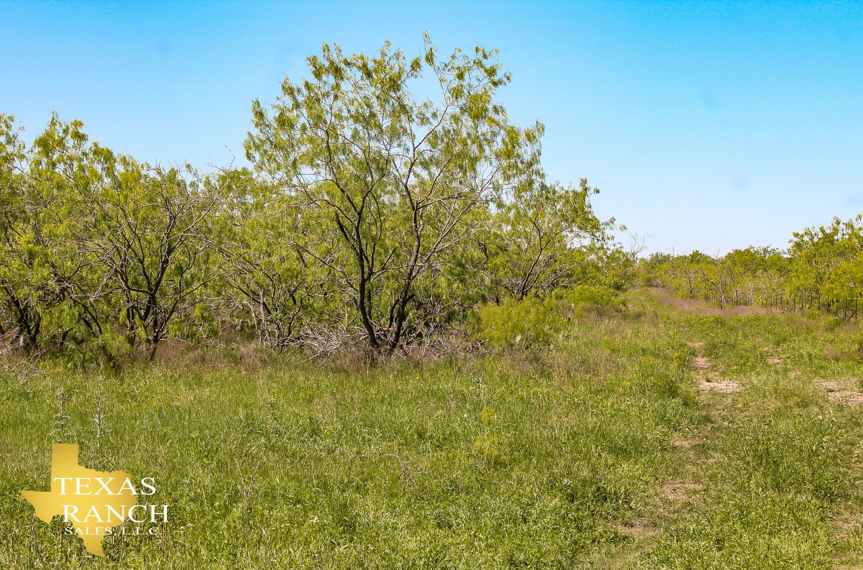 Cameron, Milam County, TX Farms and Ranches, Recreational Property for