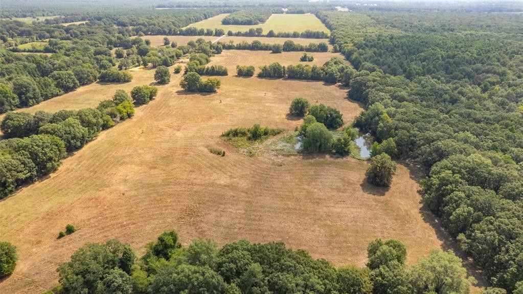 Detroit, Red River County, TX Farms and Ranches for sale Property ID