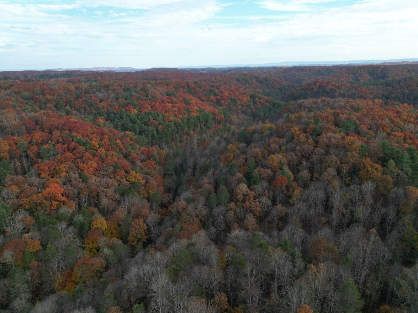 Odd, Raleigh County, WV Undeveloped Land for sale Property ID