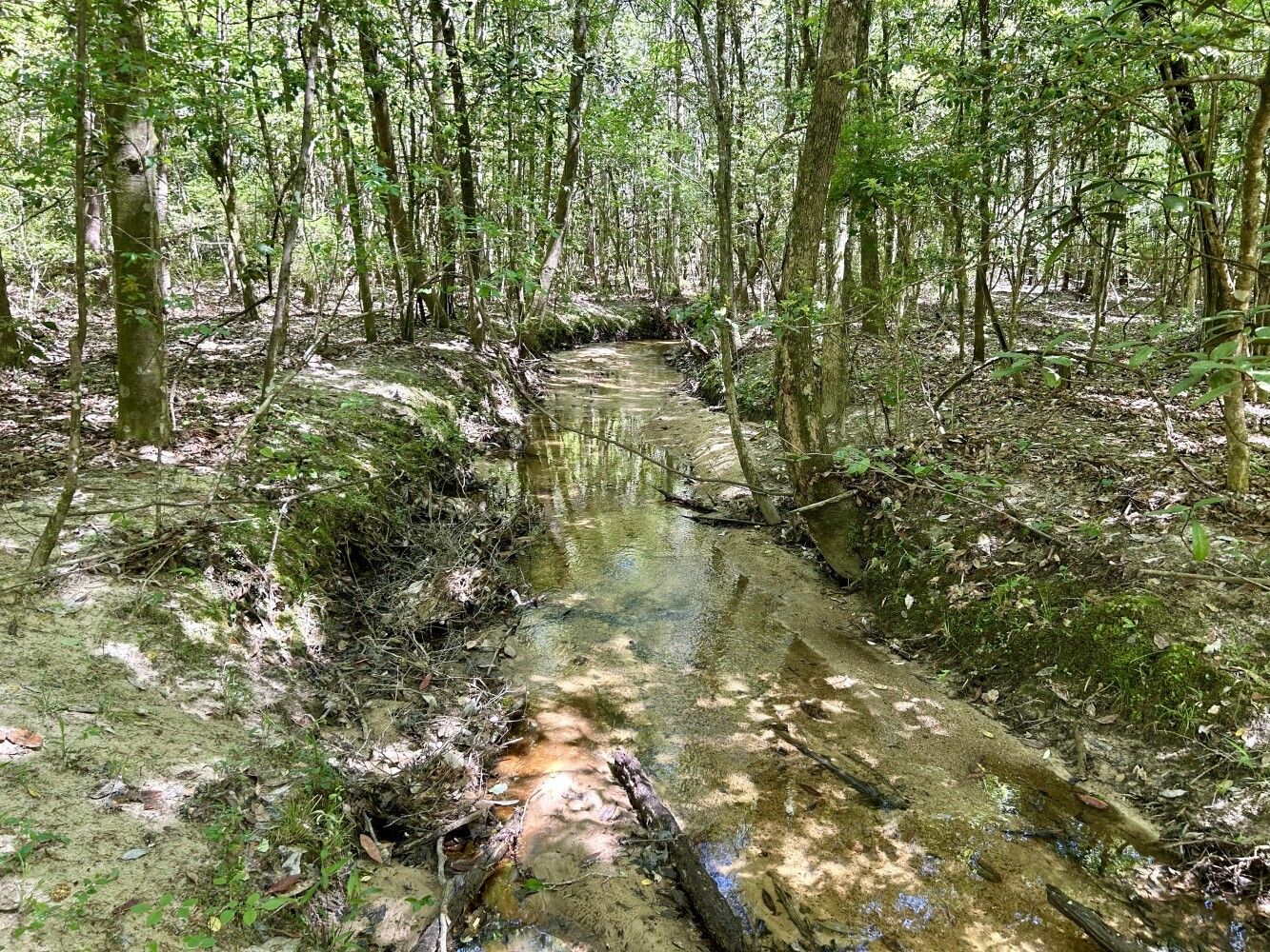 Evergreen, Conecuh County, AL Undeveloped Land for sale Property ID