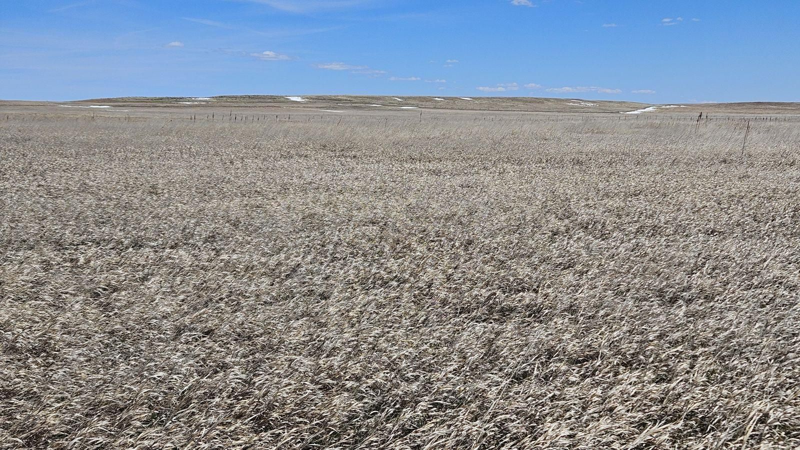 Kimball, Kimball County, NE Farms and Ranches for sale Property ID