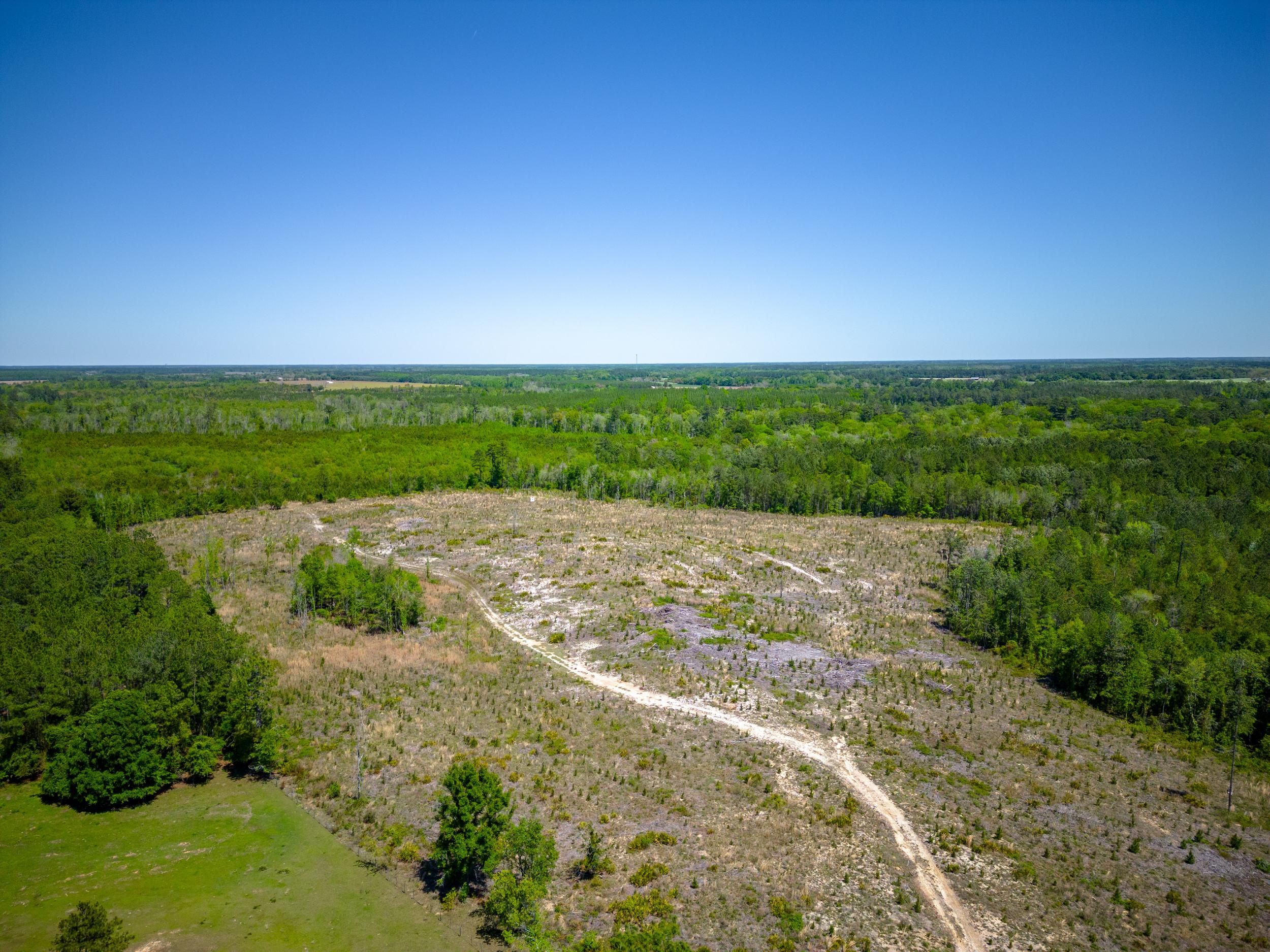 Scuffletown Rd, Bristol, GA 31518 MLS 10278753 LandWatch