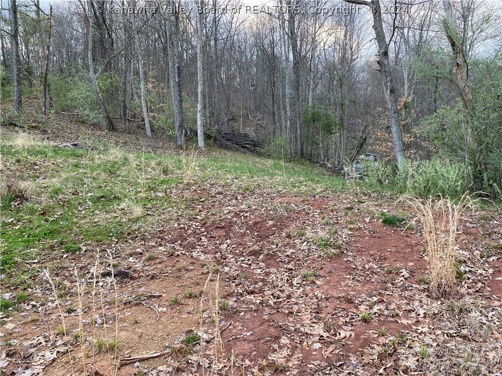 0 Panther Lane, Sandyville, WV 25275 MLS 271569 LandWatch