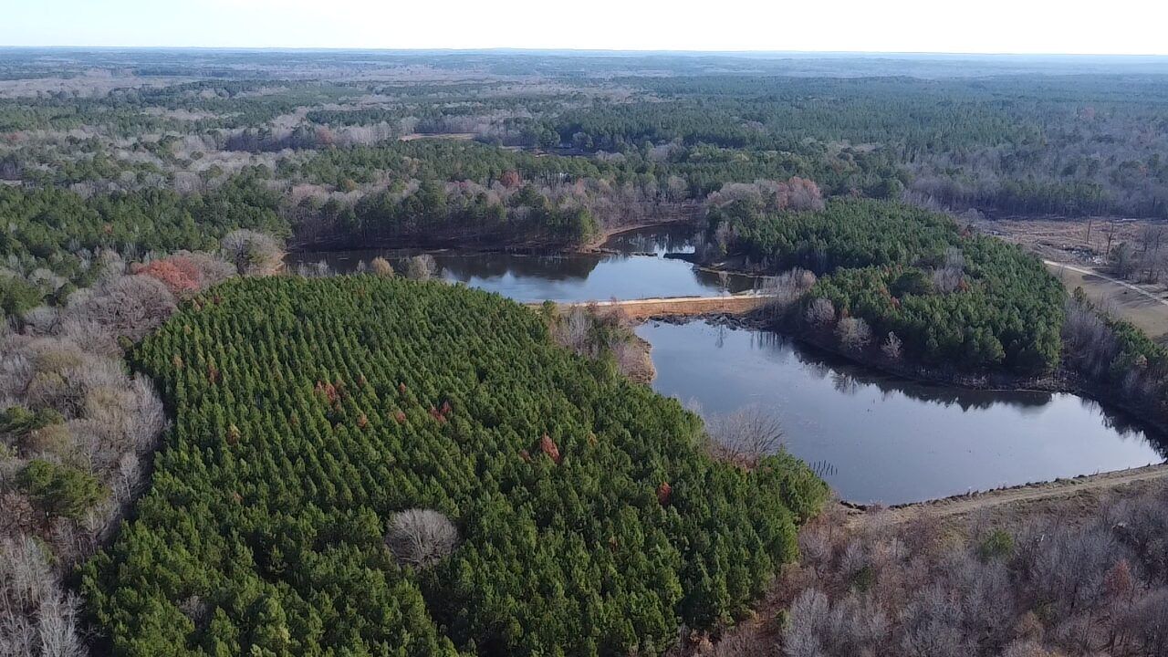 77 Acres, Attala County, MS, Kosciusko, MS 39090 LandWatch