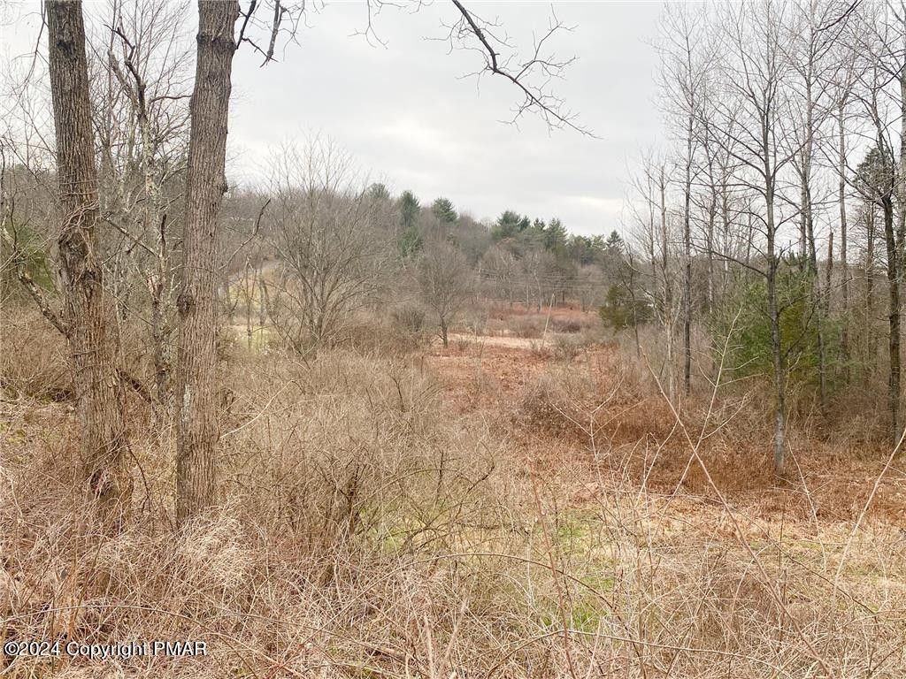 Palmerton, Carbon County, PA Undeveloped Land, Homesites for sale