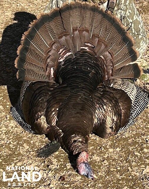 0 Joe Quick Rd, Hazel Green, AL 35750 LandWatch