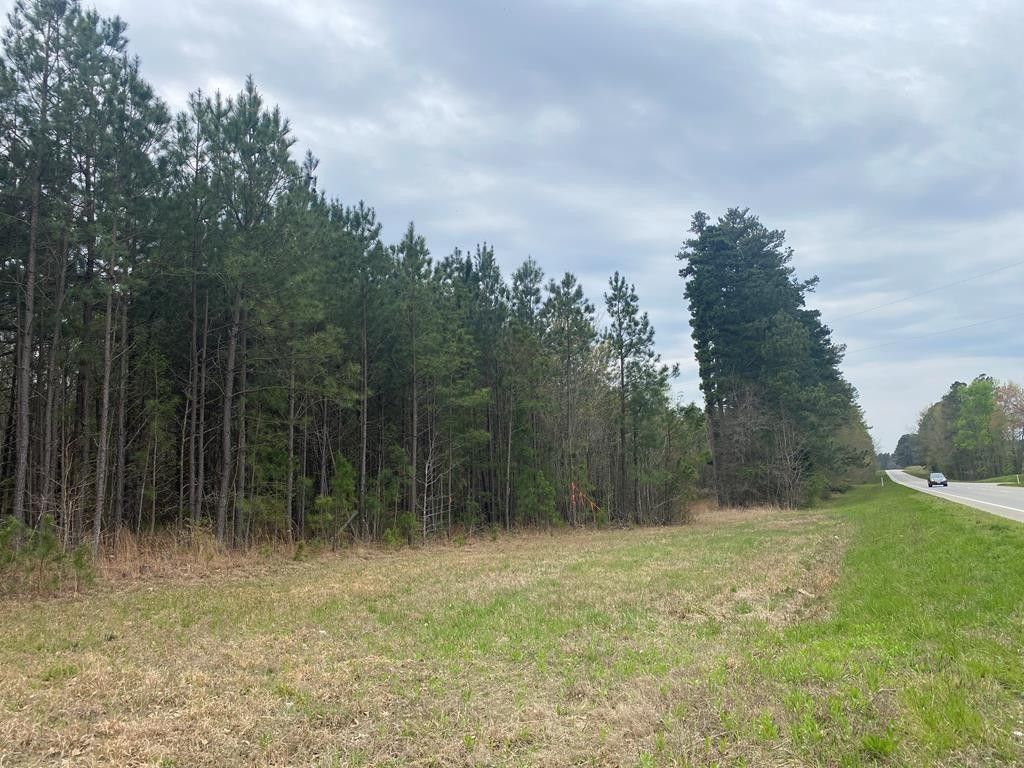 Colonial Trail HIghway, Blackstone, VA 23824 MLS 52591 LandWatch