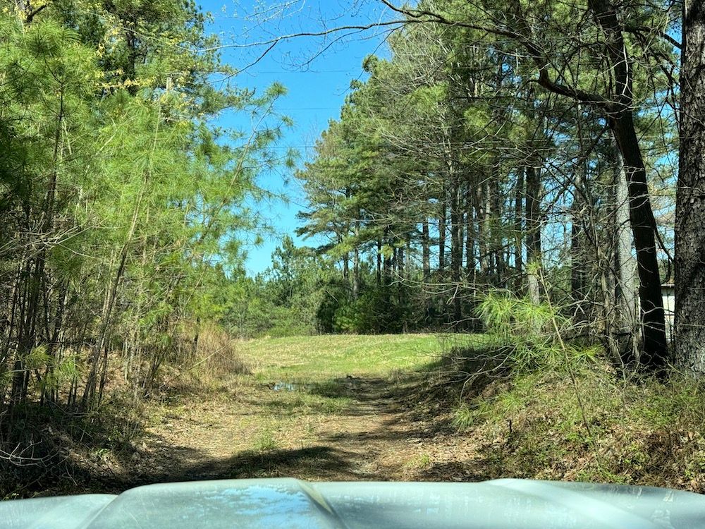 Duck River, Hickman County, TN Recreational Property, Timberland