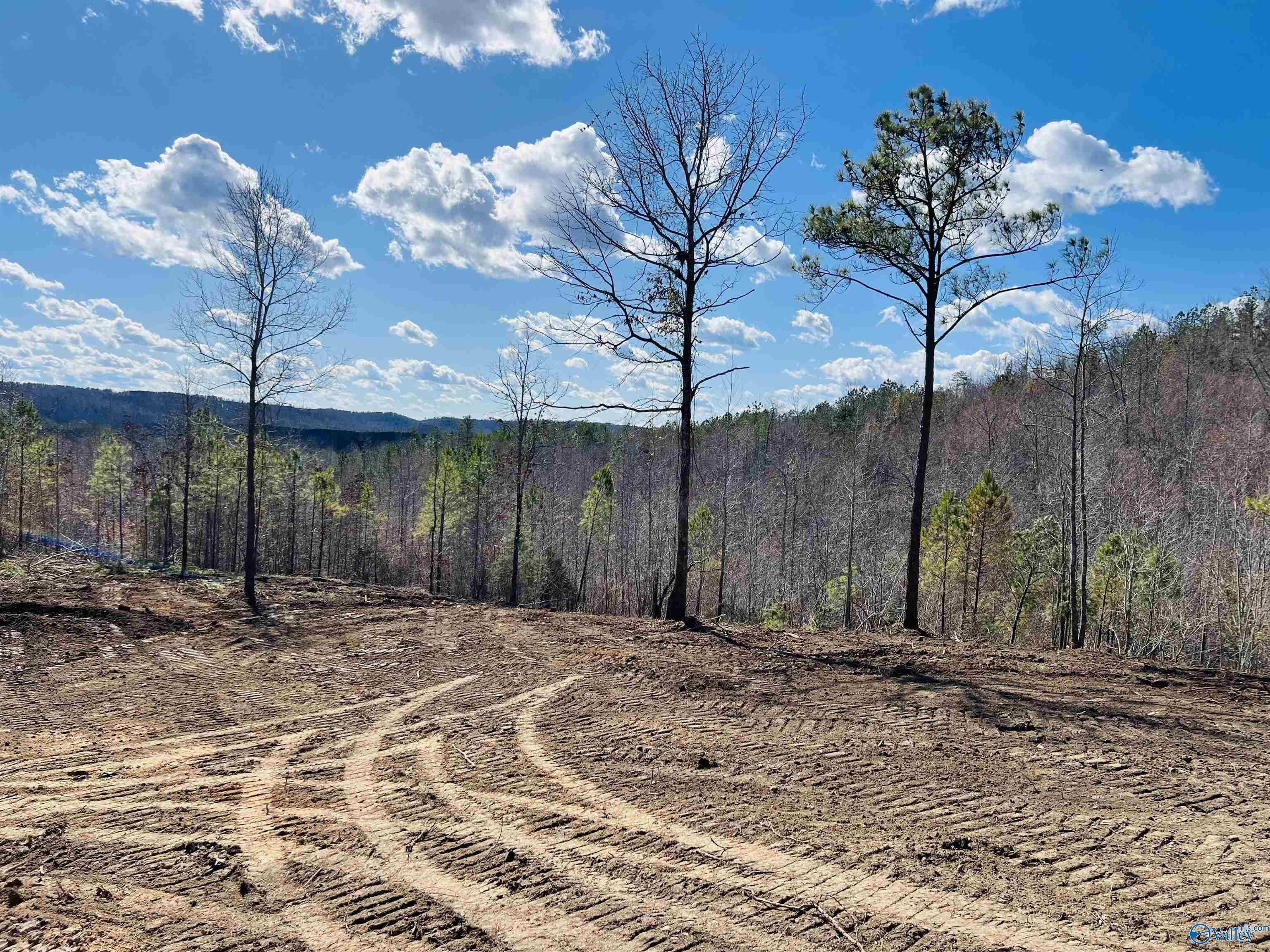 170 Acres County Road 21, Ashville, AL 35953 MLS 21857669 LandWatch