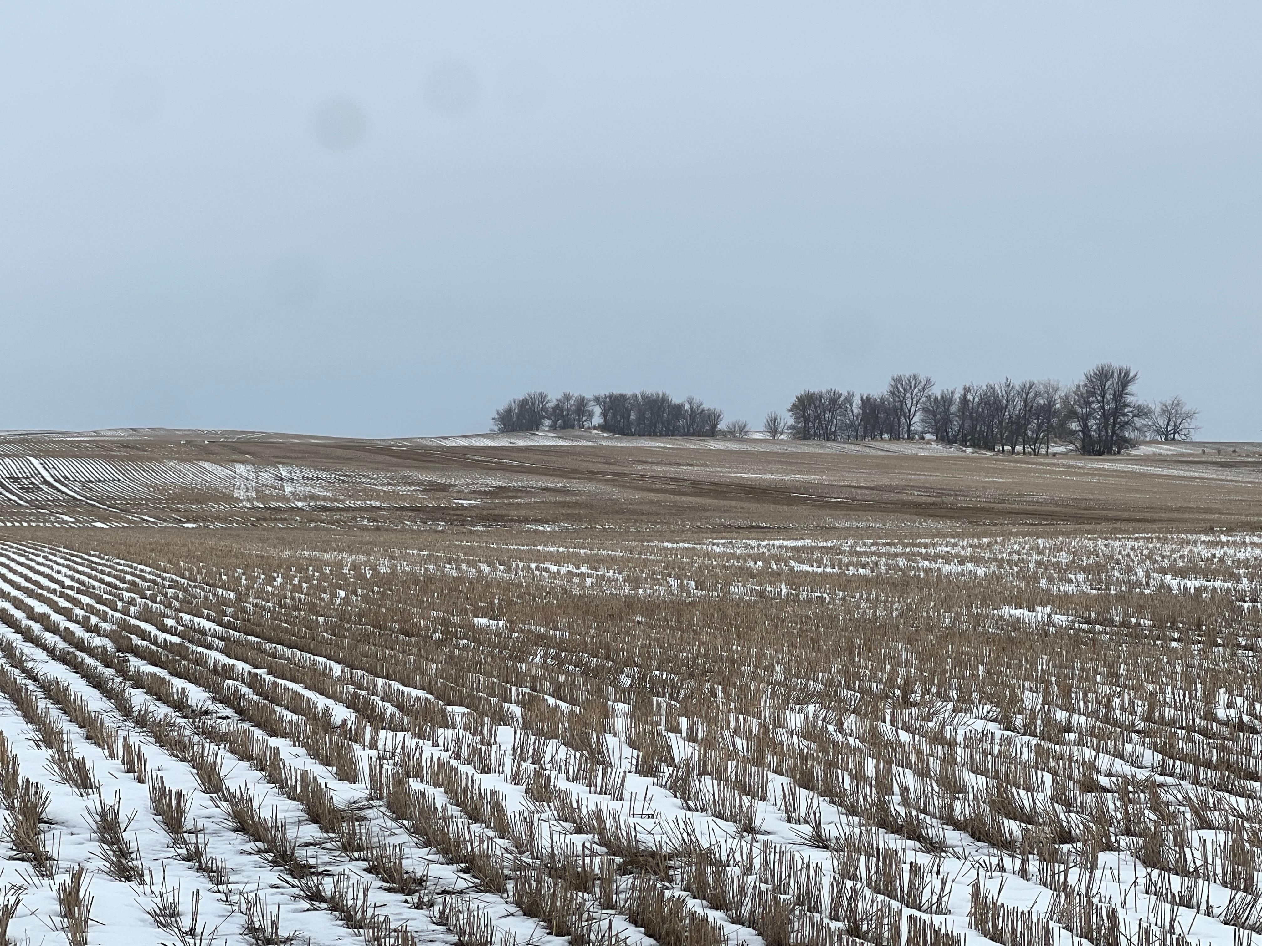 548.25 acres in Wilton, ND, 58579 LandWatch