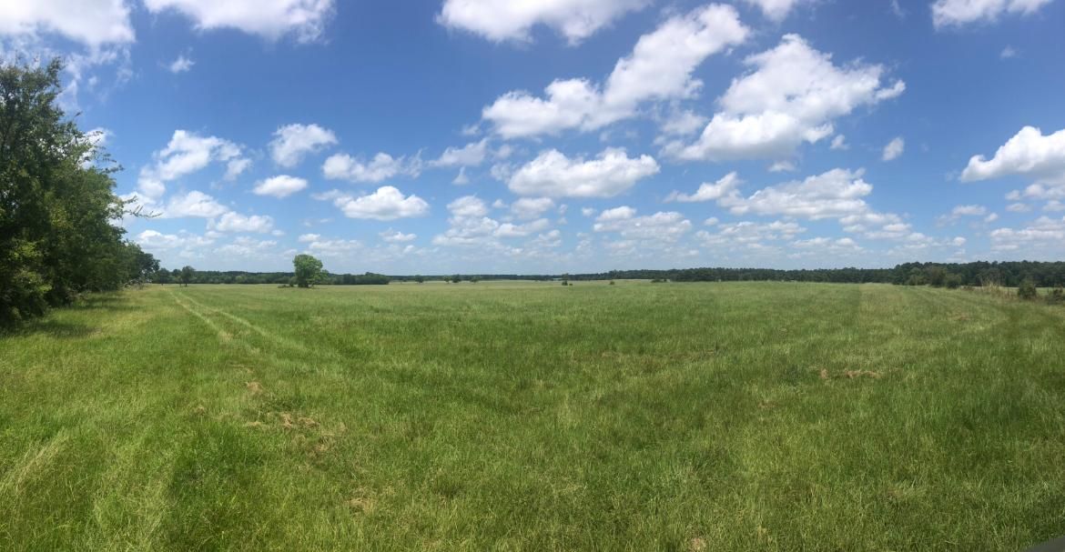 Kennard, Houston County, TX Farms and Ranches, Hunting Property for