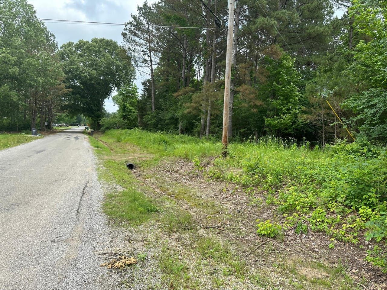 CR54, Myrtle, MS 38652 LandWatch