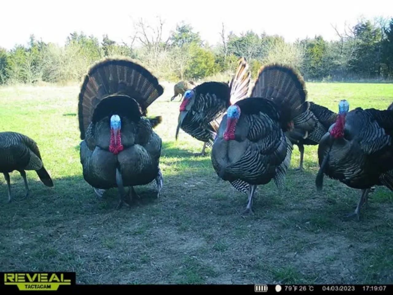 Kincaid, Anderson County, KS Hunting Property for sale Property ID 418956428 LandWatch