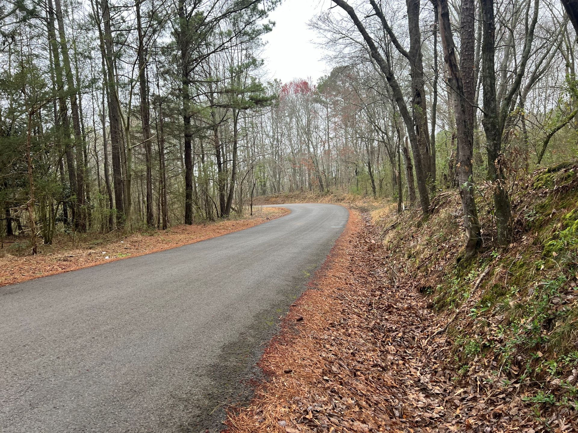 60 acres in Blountsville, AL, 35031 LandWatch