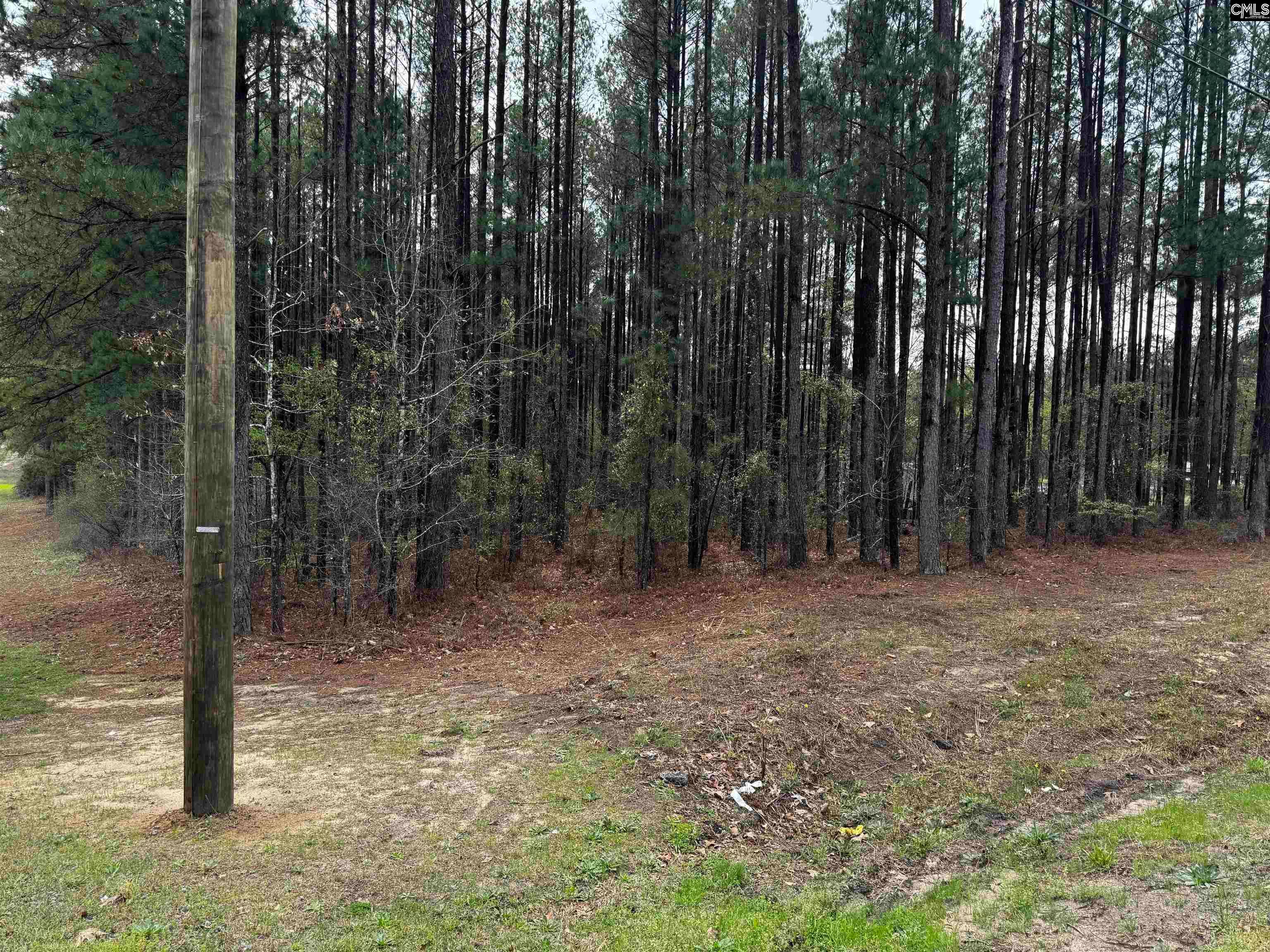 4168 Leesburg Road , Hopkins, SC 29061 MLS 582206 LandWatch