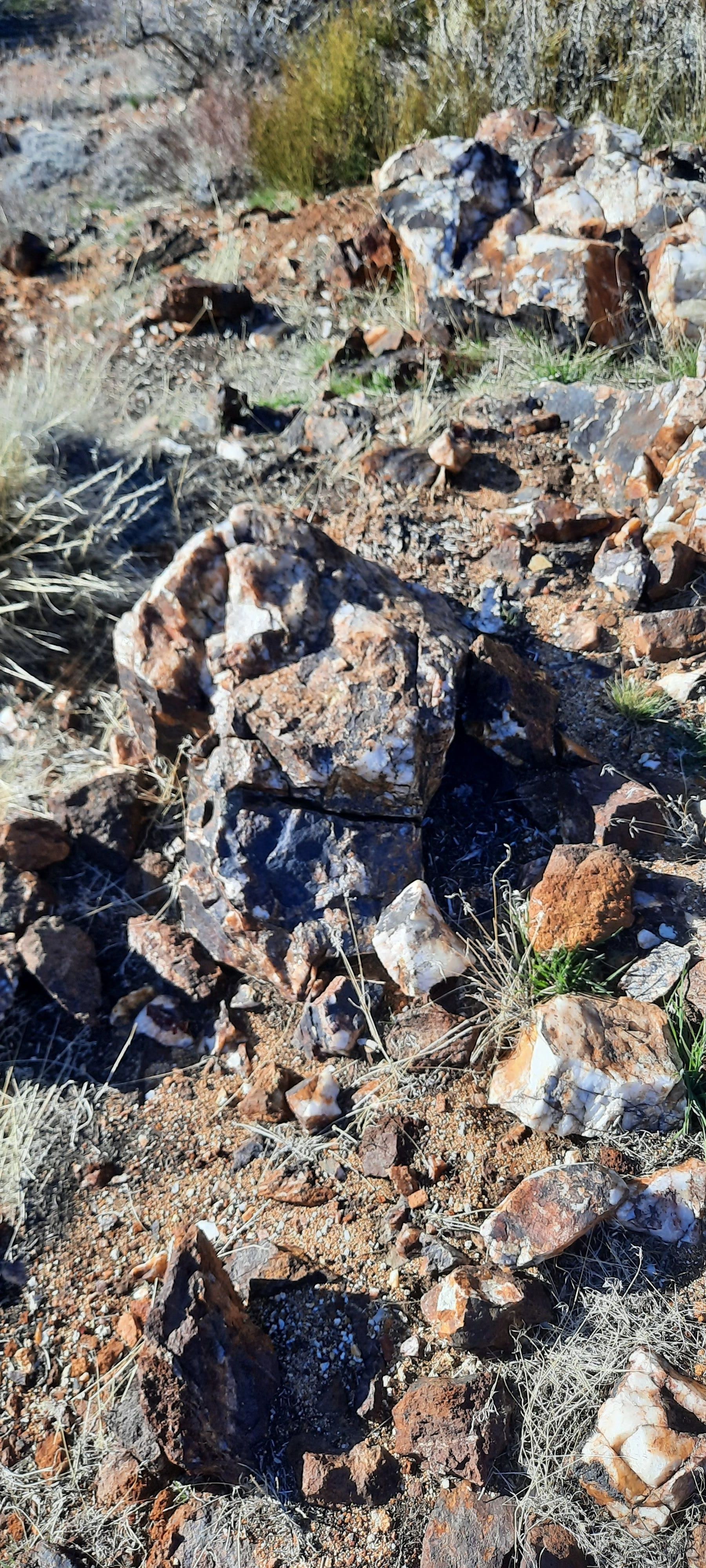 Mill Canyon Road, Coleville, CA 96107 MLS Exclusive LandWatch