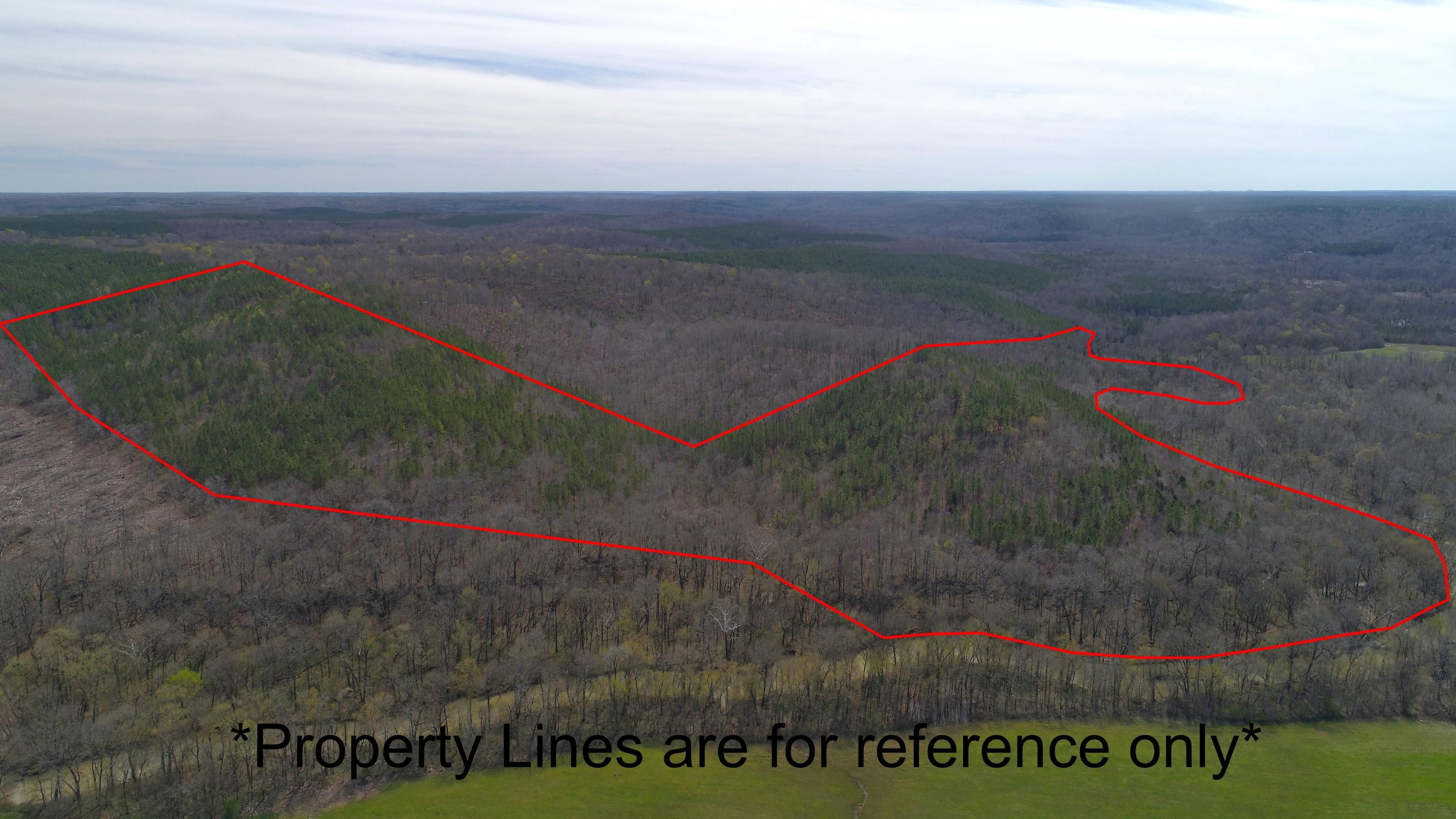 Cherokee, Colbert County, AL Timberland Property, Hunting Property for