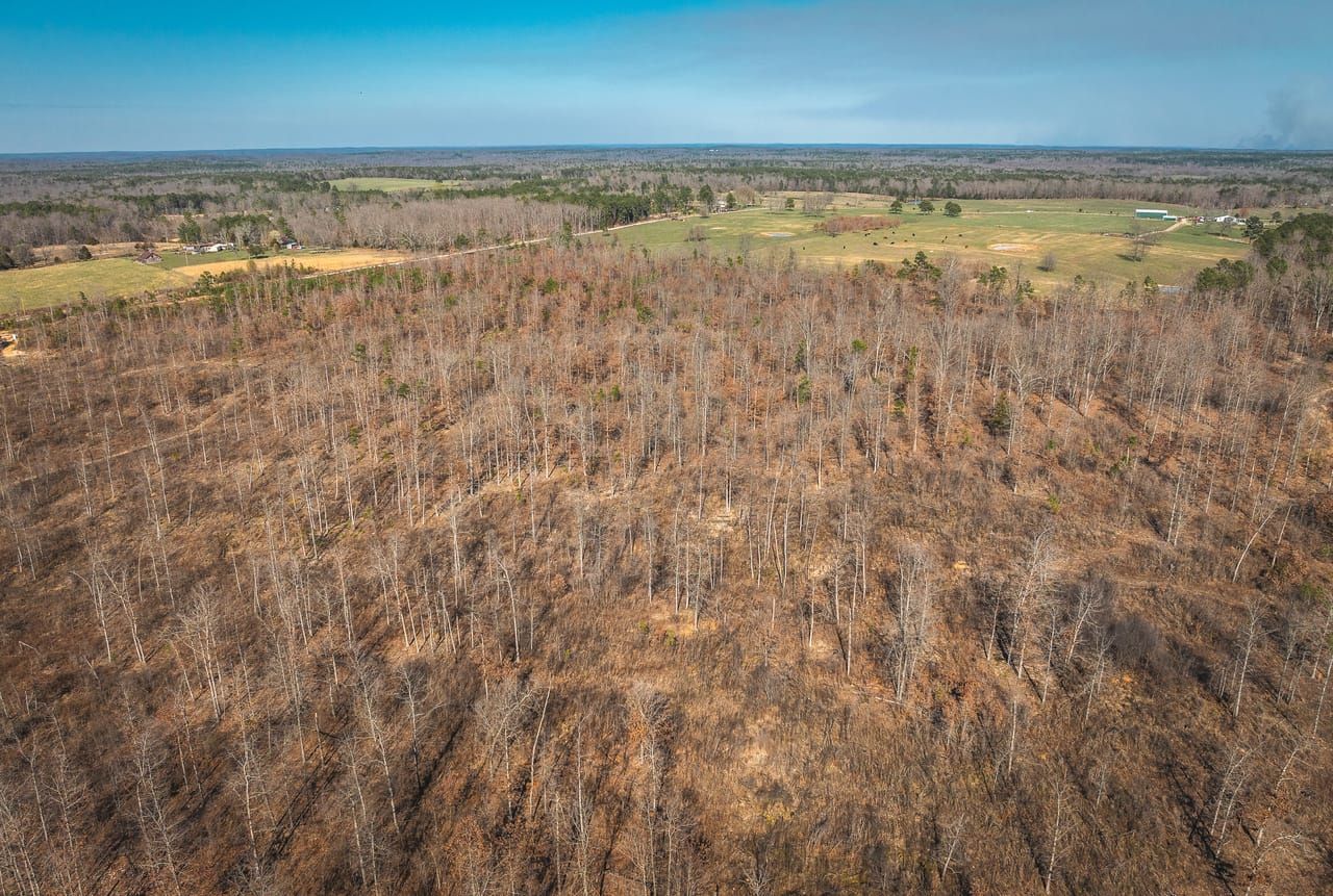 7195 Highway KK, Hartshorn, MO 65479 LandWatch