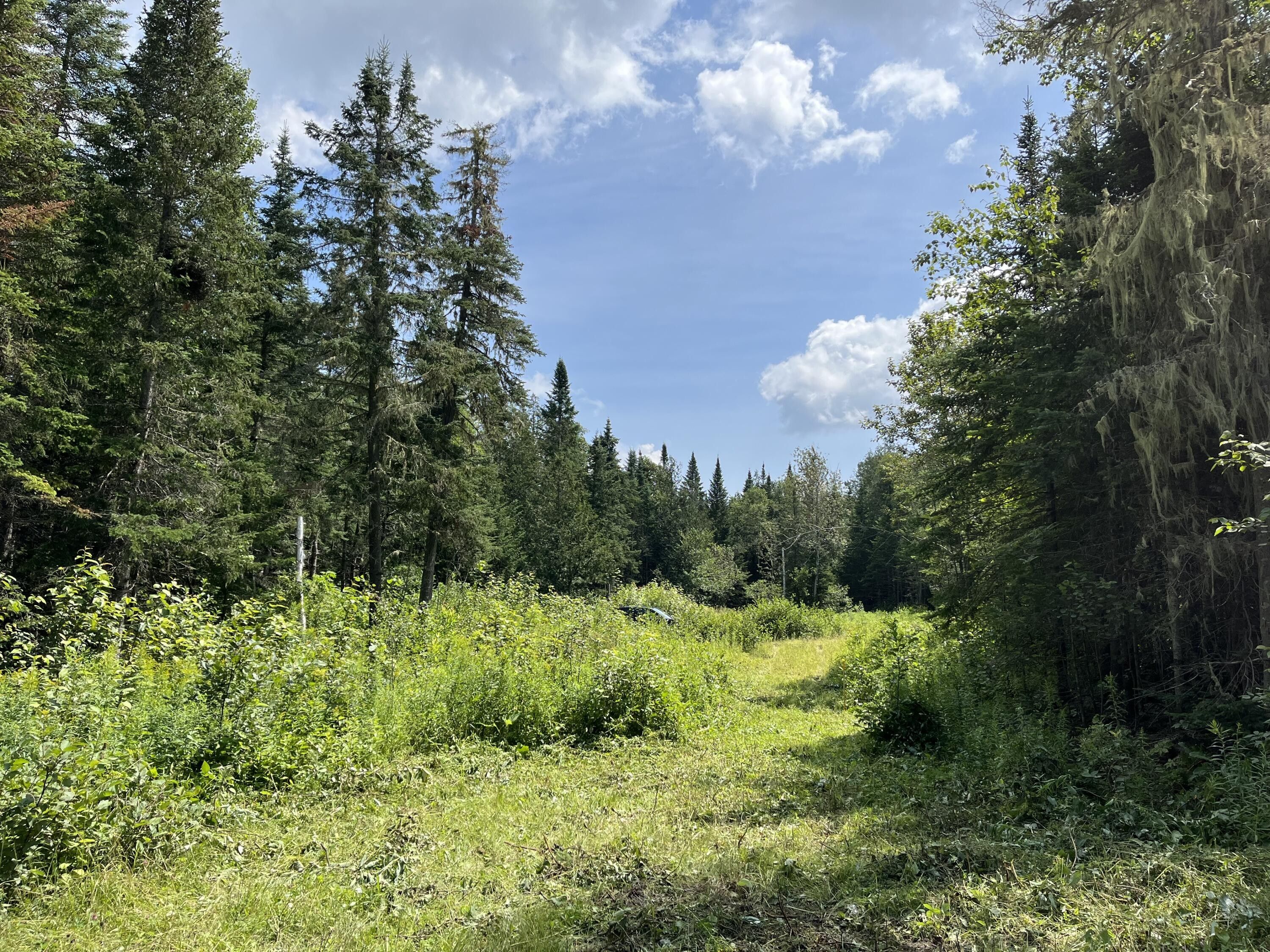New Sweden, Aroostook County, ME Undeveloped Land, Lakefront Property