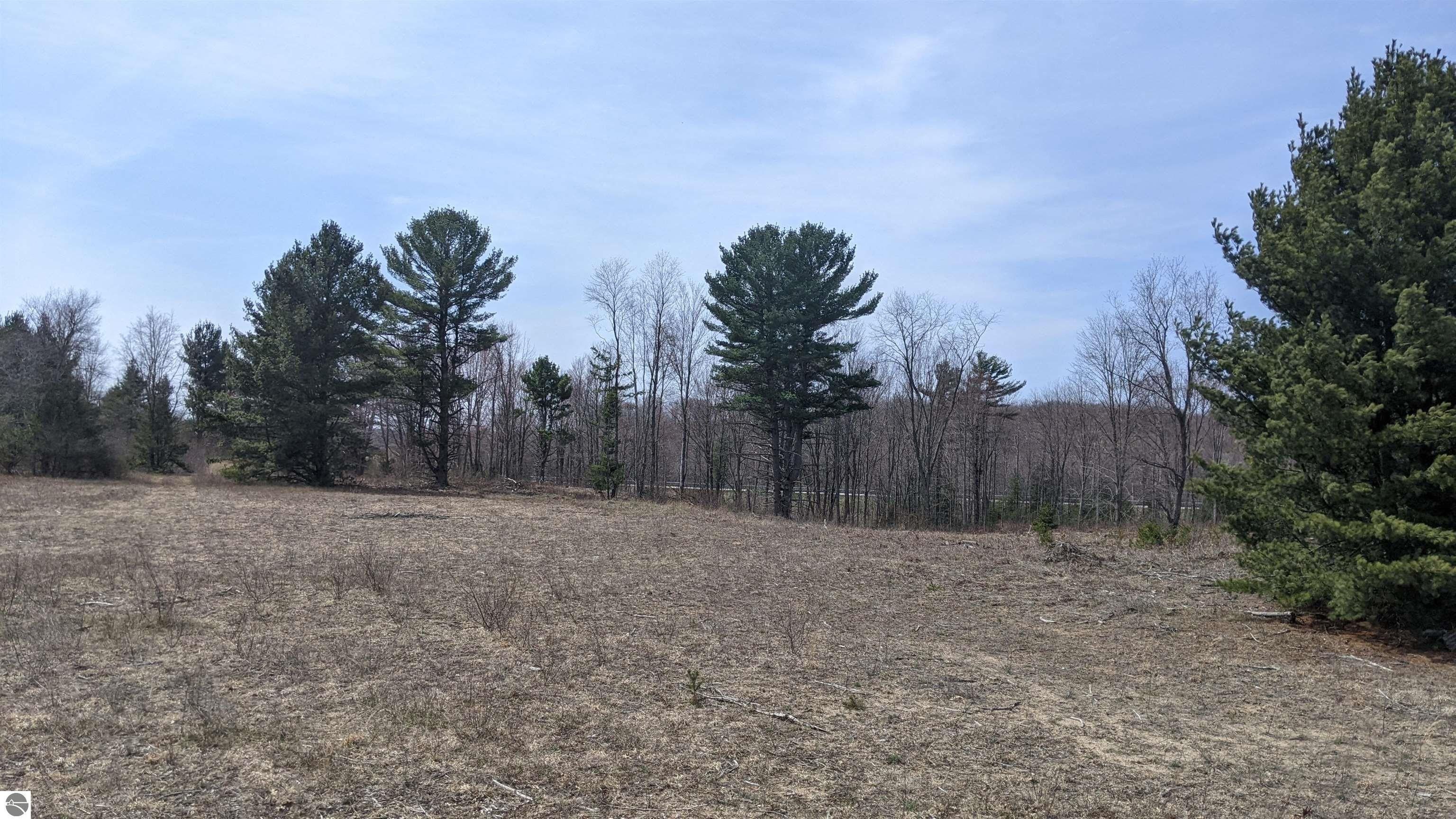 Bear Lake, Manistee County, MI Undeveloped Land for sale Property ID 419413332 LandWatch