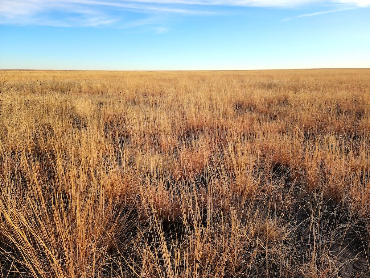 TBD County Road N, LotWP001, Eads, CO 81036 LandWatch