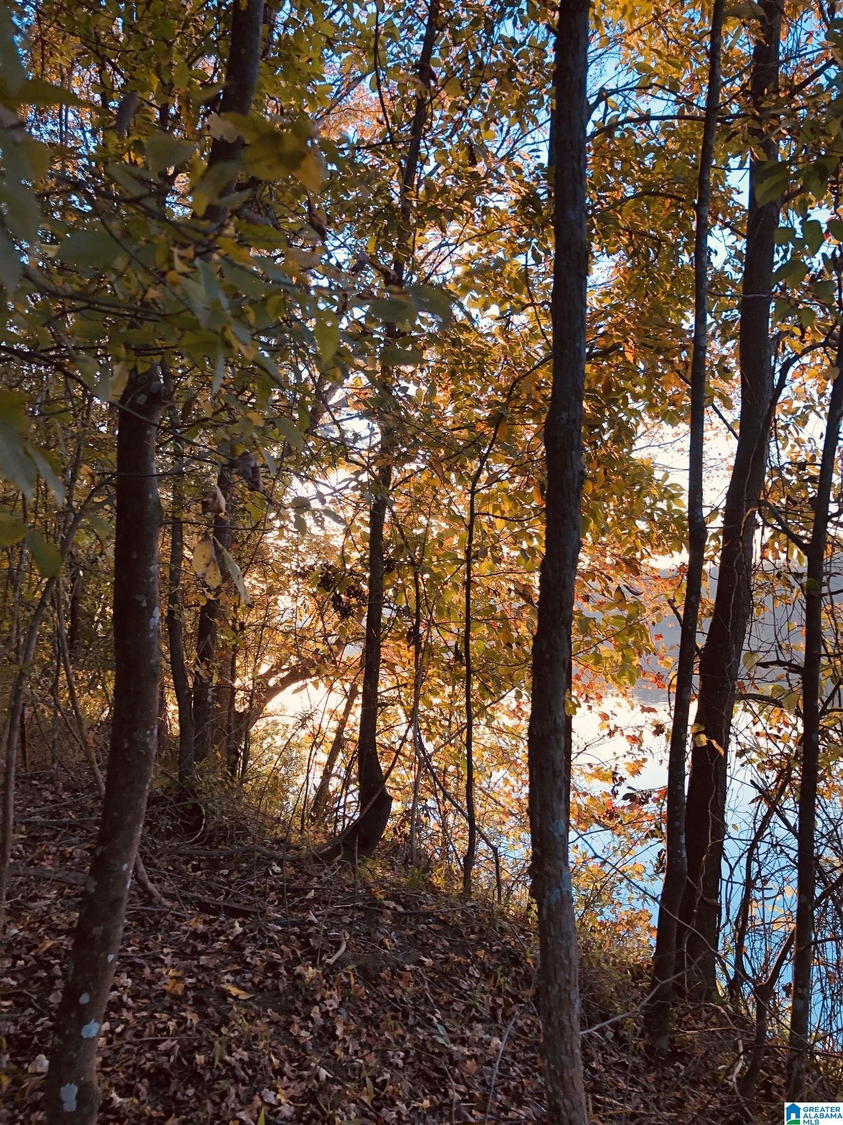 Childersburg, Talladega County, AL Undeveloped Land, Lakefront Property