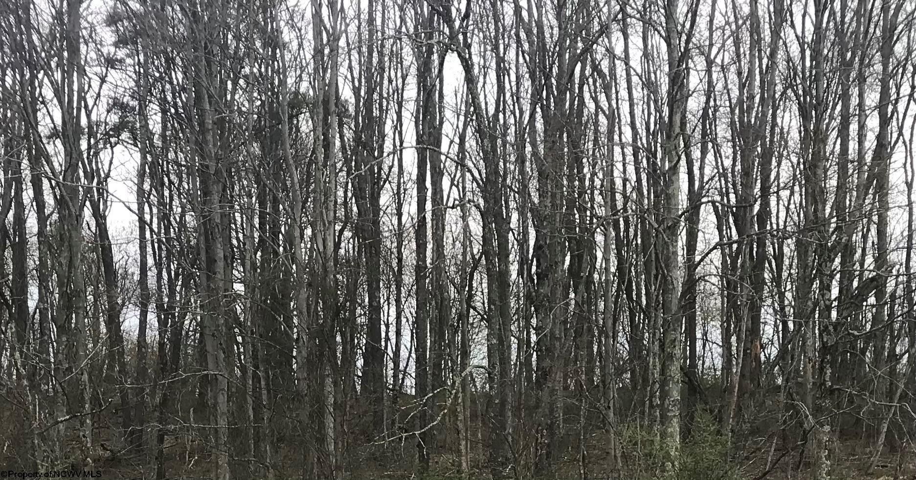 D Sunny Hill Road, Masontown, WV 26542 MLS 10153755 LandWatch