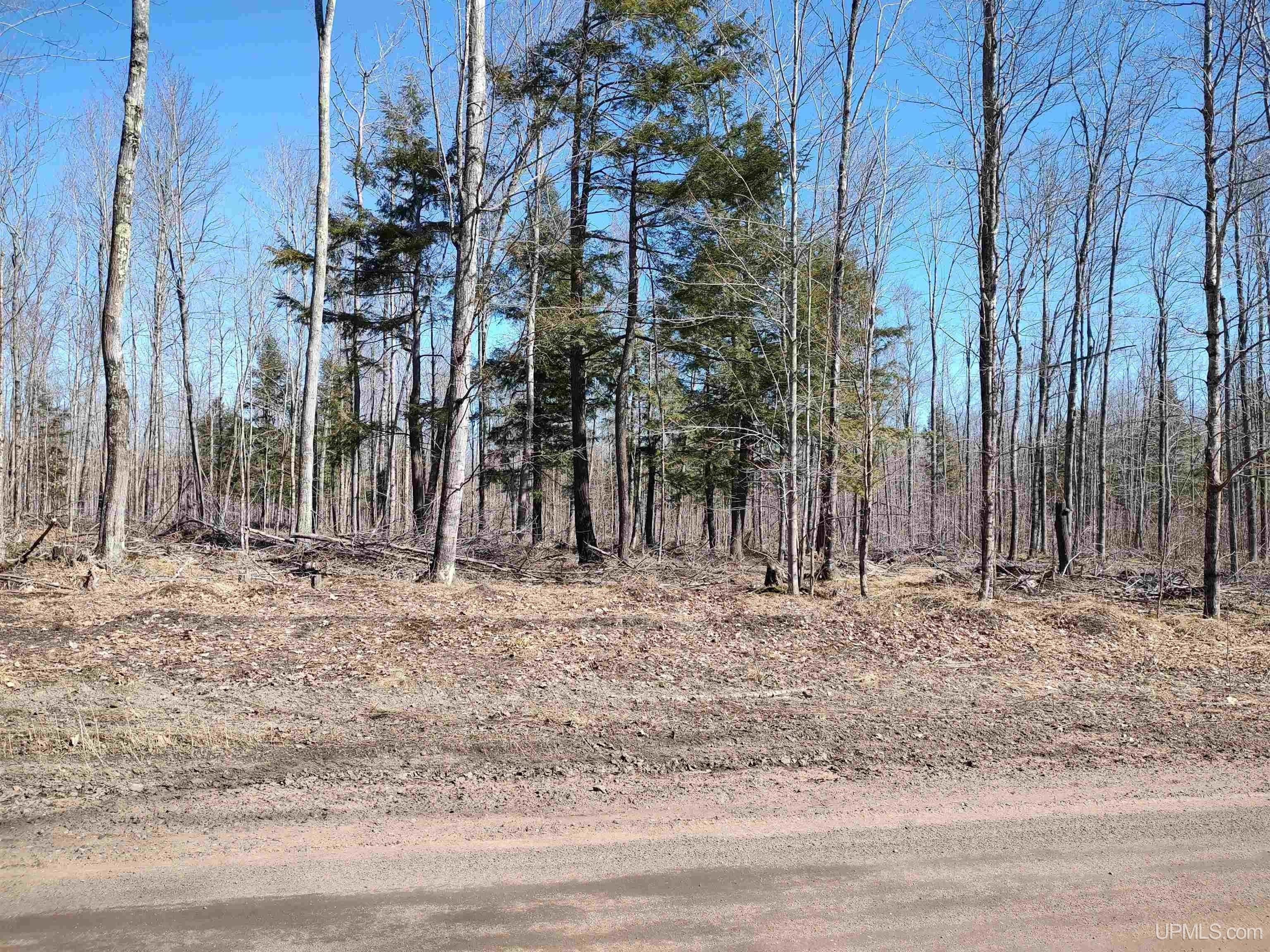 L'Anse, Baraga County, MI Undeveloped Land for sale Property ID