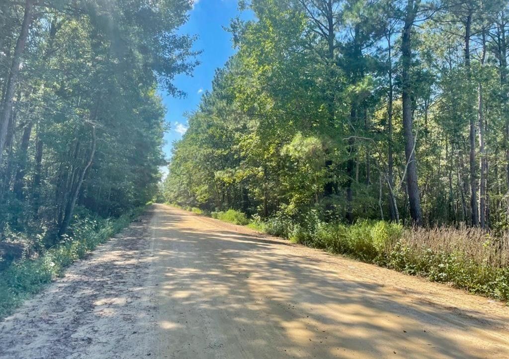 Sumter, Sumter County, SC Undeveloped Land for sale Property ID