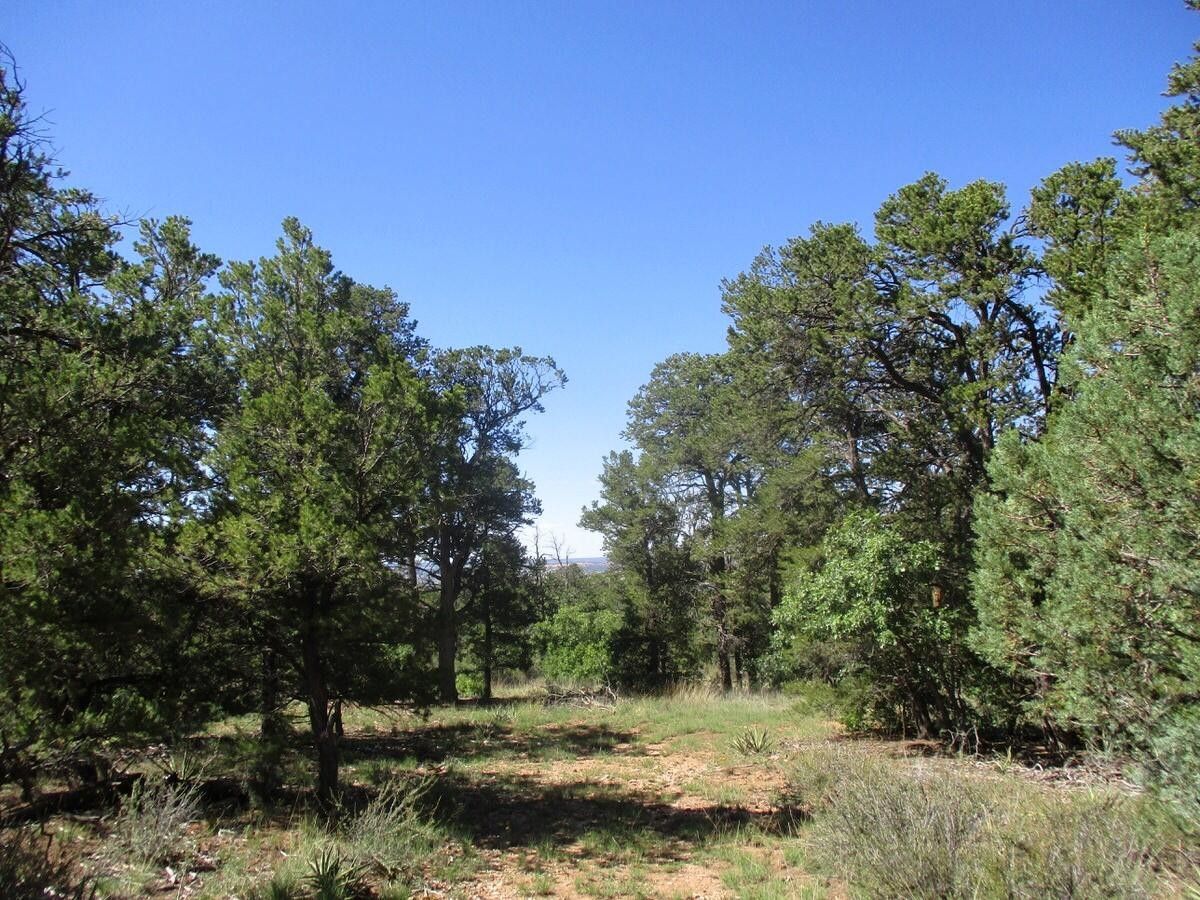 Ramah, Cibola County, NM Undeveloped Land for sale Property ID