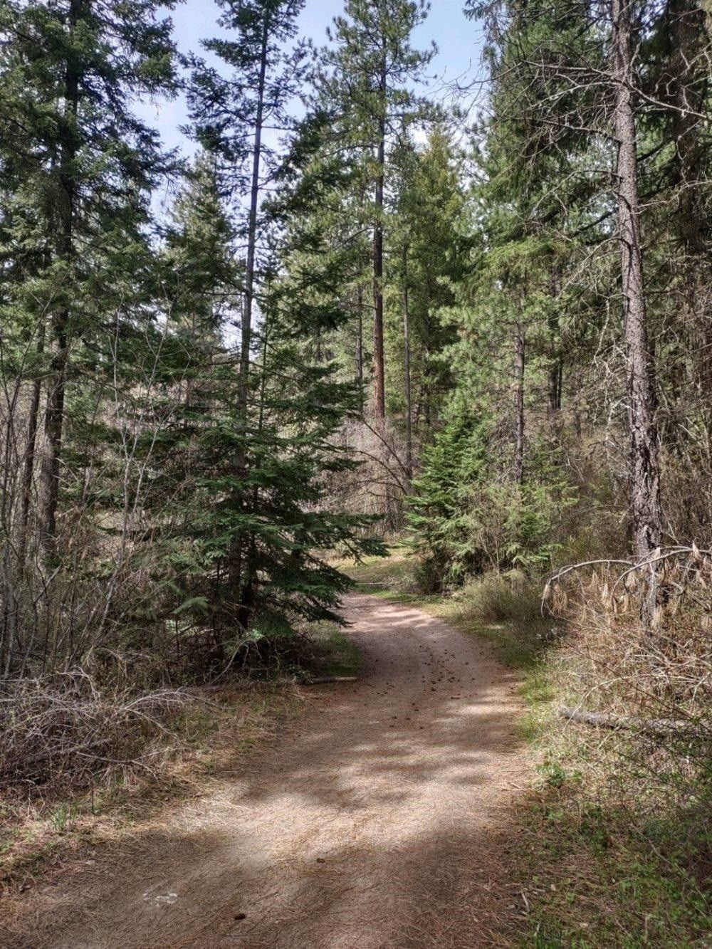 Loon Lake, Stevens County, WA Undeveloped Land for sale Property ID
