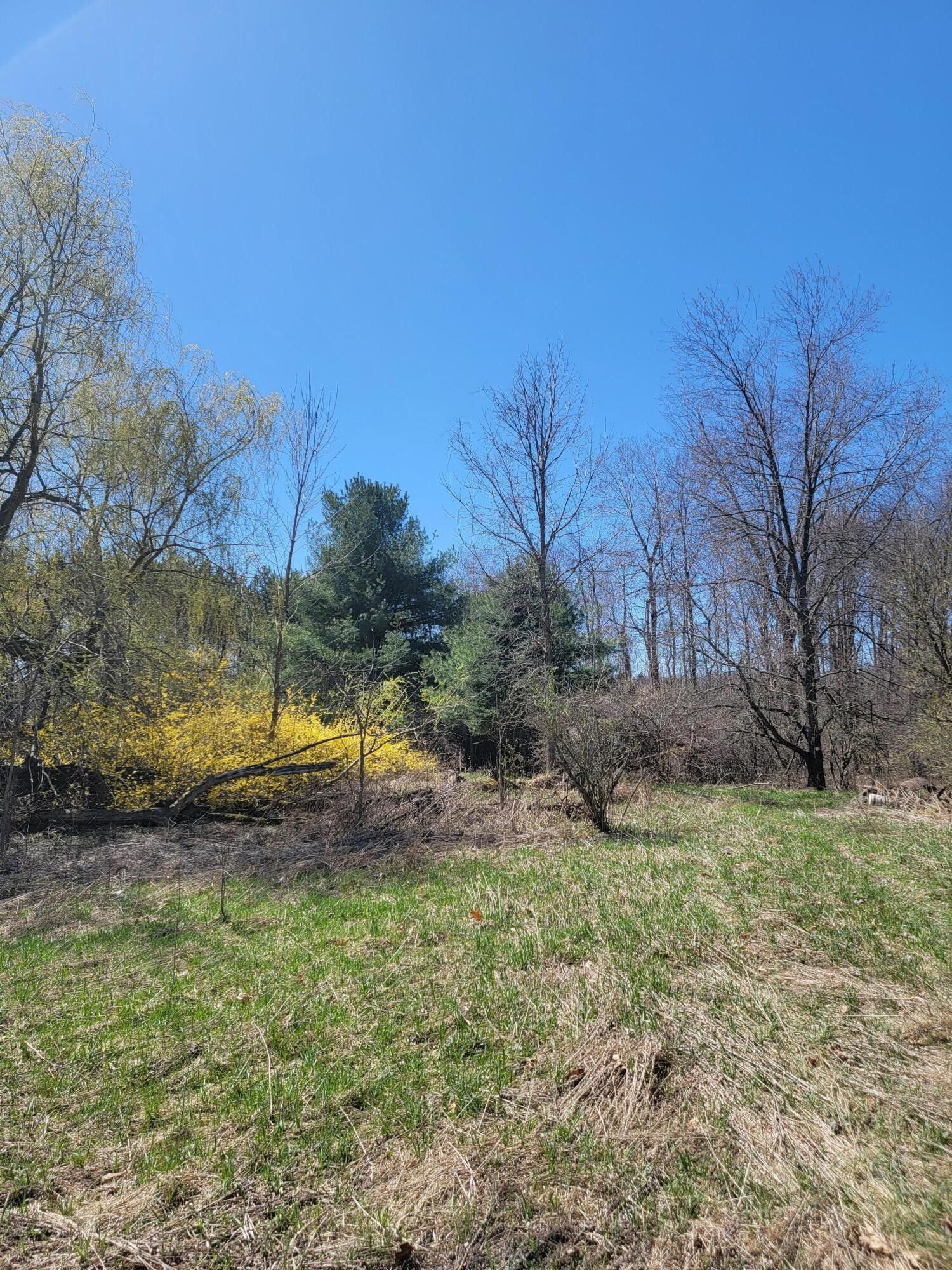 Riverdale, Isabella County, MI Undeveloped Land for sale Property ID