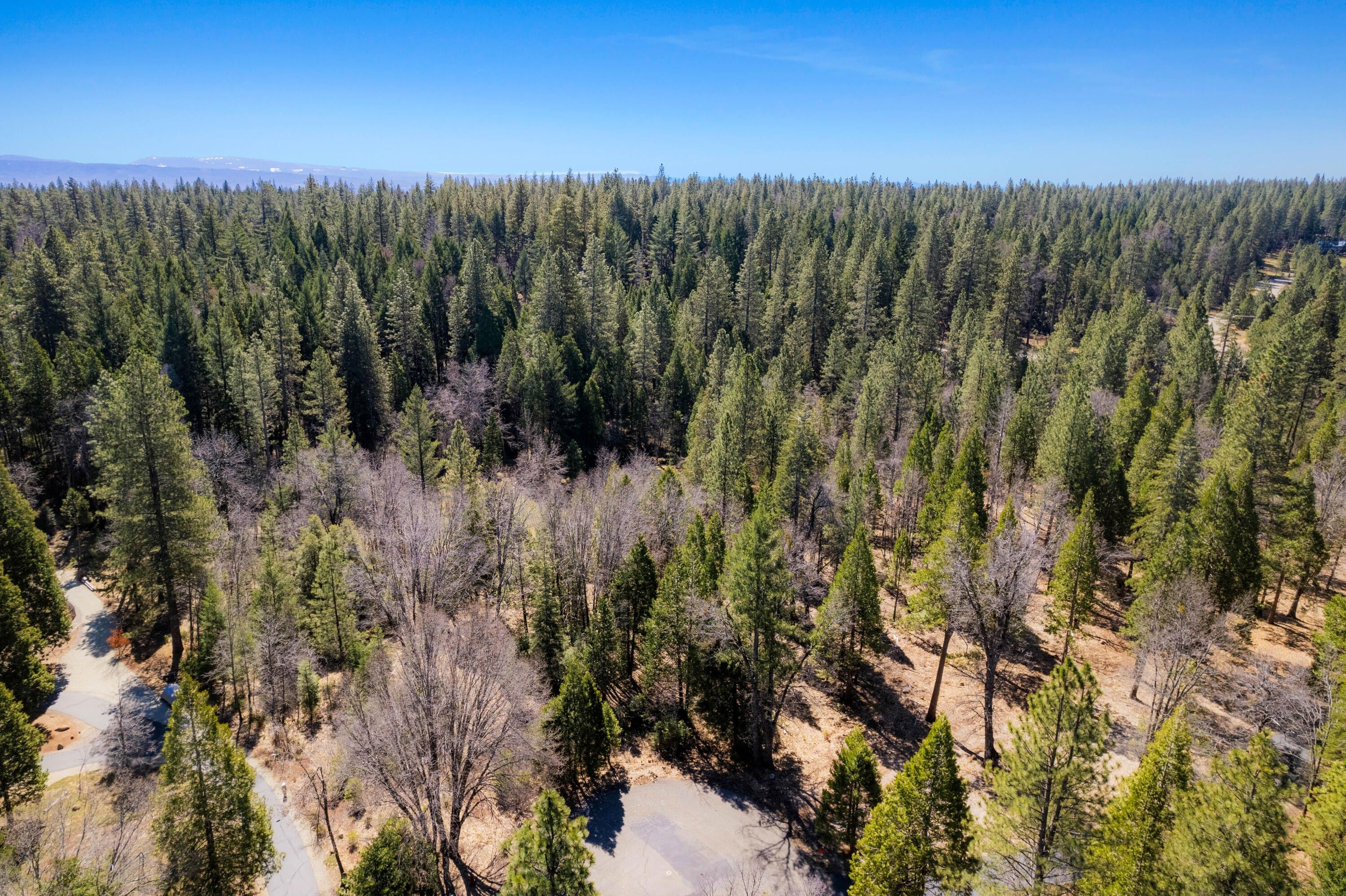Shingletown, Shasta County, CA Undeveloped Land, Lakefront Property