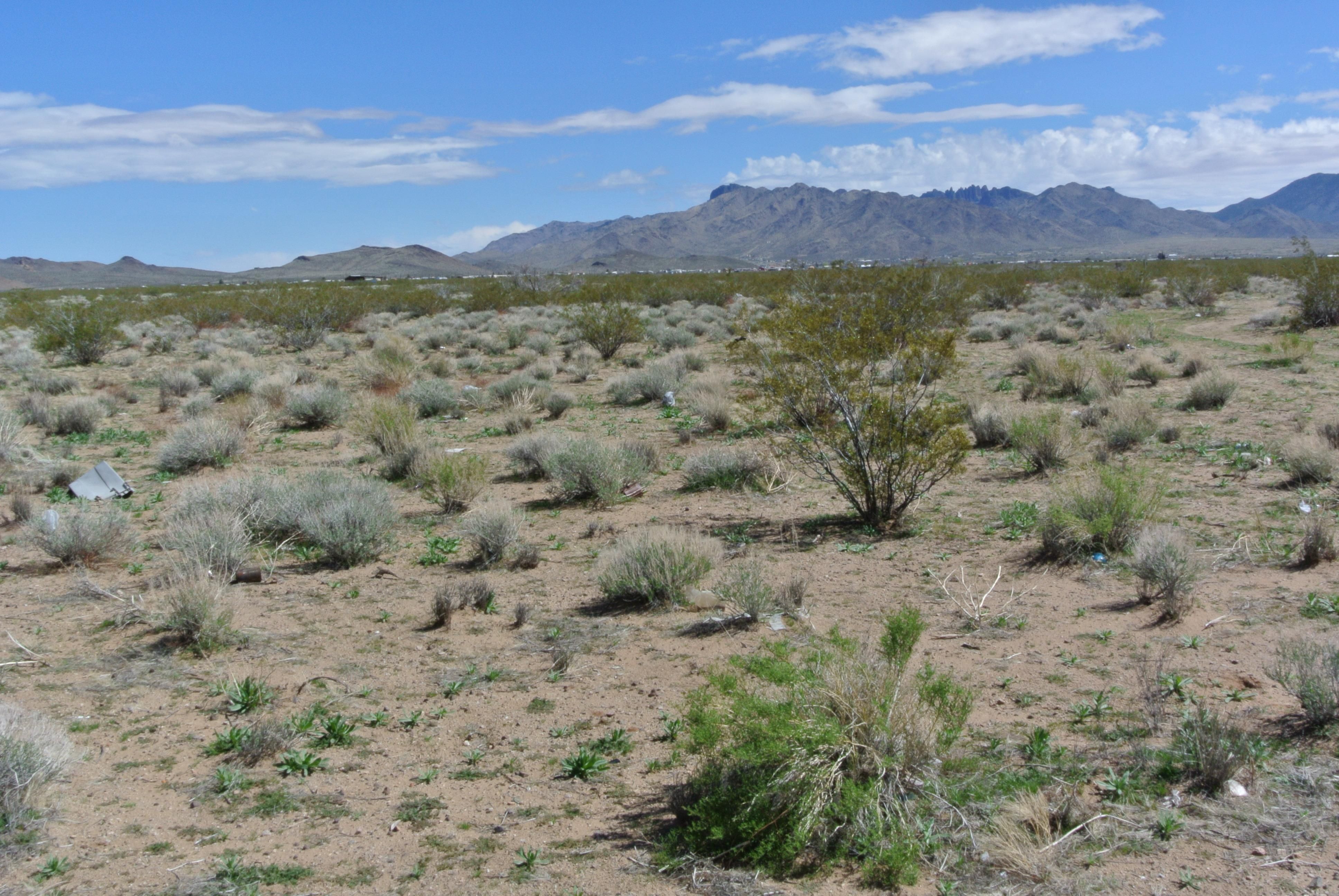 Dolan Springs, Mohave County, AZ Recreational Property, Undeveloped
