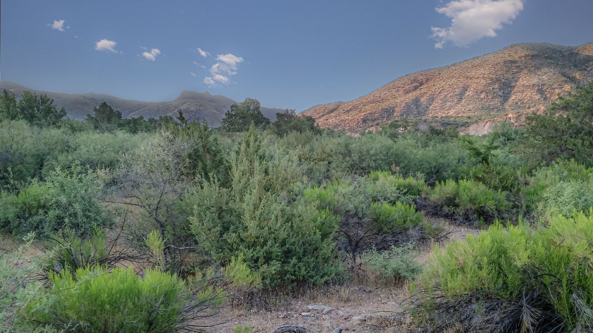 992 998 E Sycamore Lane Gisela, Payson, AZ 85541 MLS 89305 LandWatch