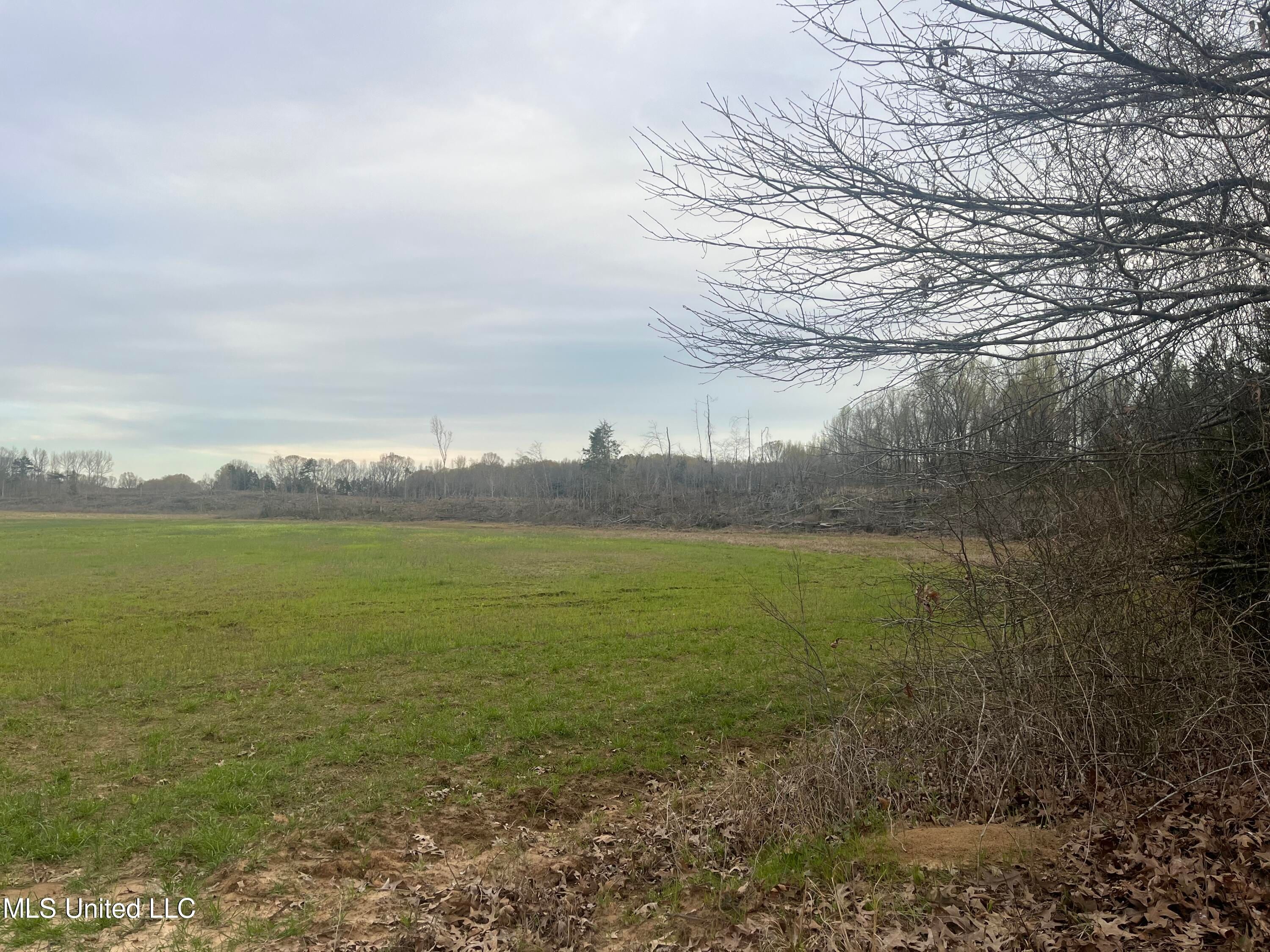 Pearl Smith Road, Senatobia, MS 38668 MLS 4075079 LandWatch