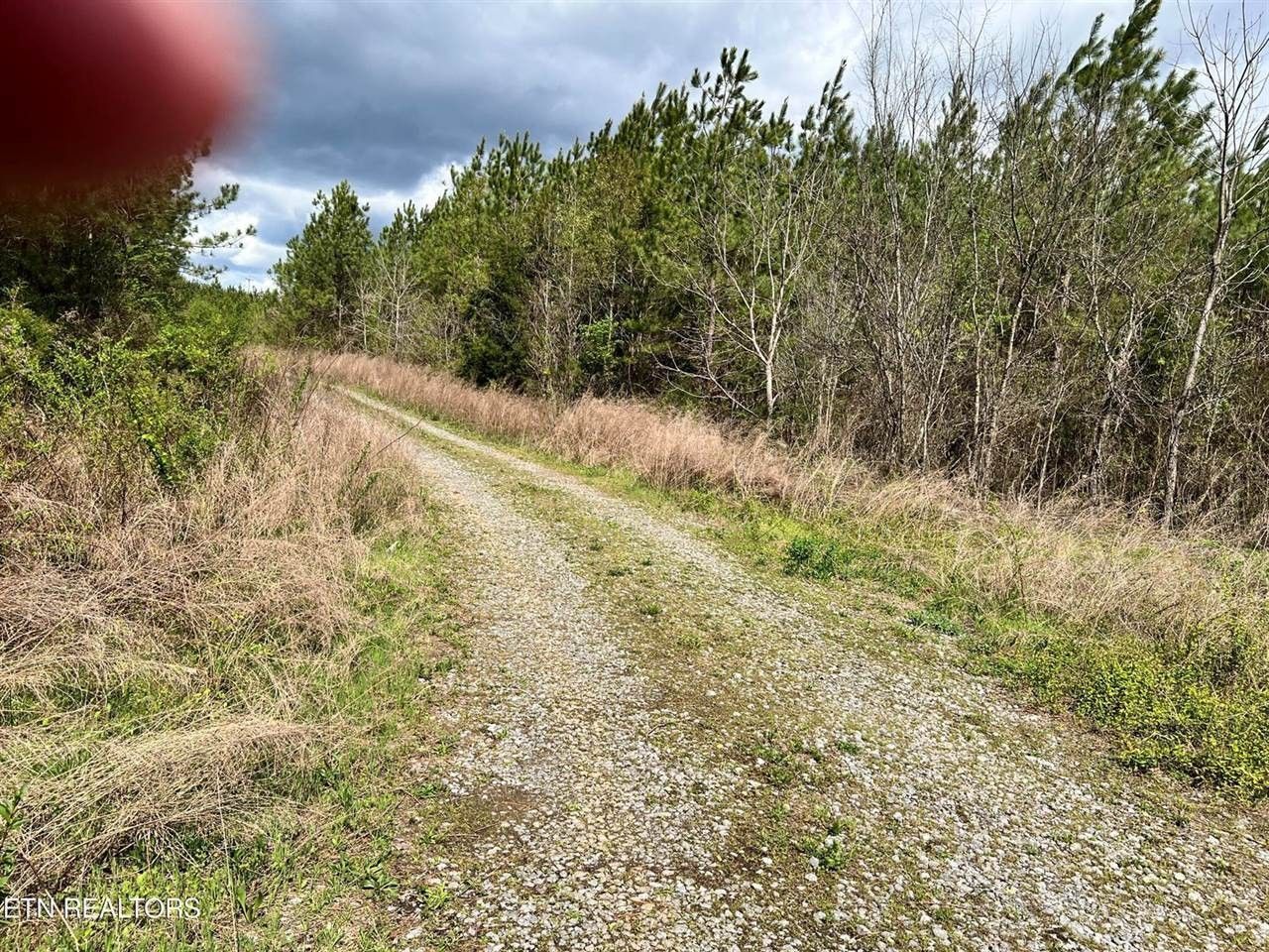 Ten Mile, Roane County, TN Undeveloped Land for sale Property ID